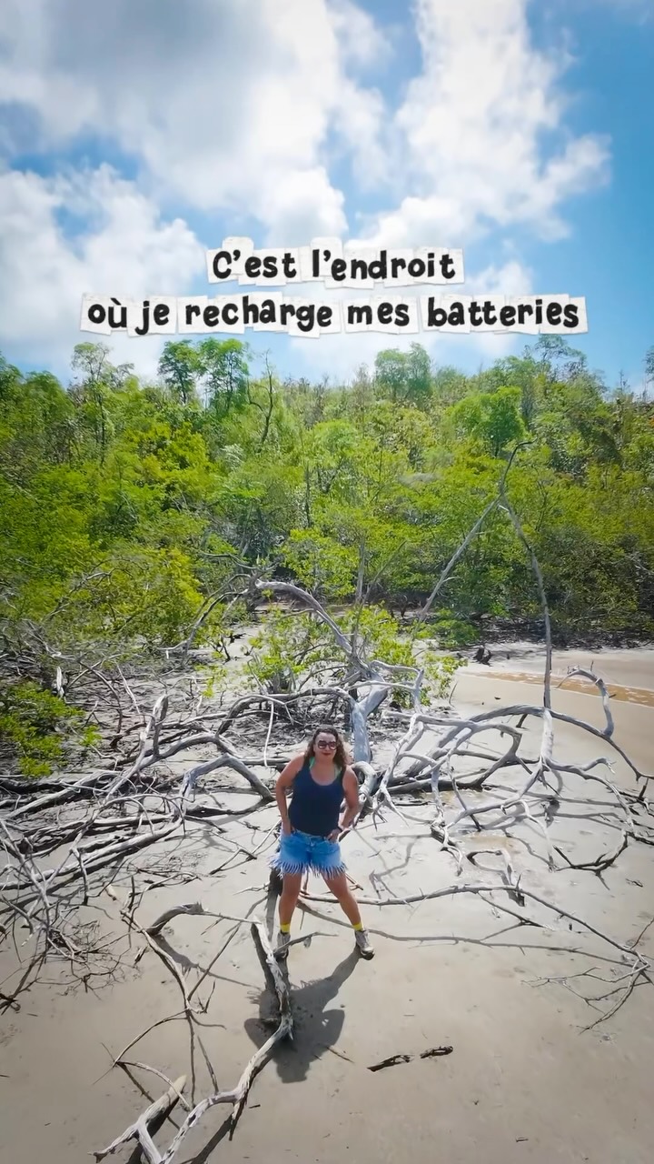 Rien de tel pour se recharger en good vibes 👠, on devrait d’ailleurs cette « chose » : rando-thérapie, tu crois pas ?
#martinique #gomartinique #randonnéemartinique #lacaravelle #martiniquetourisme