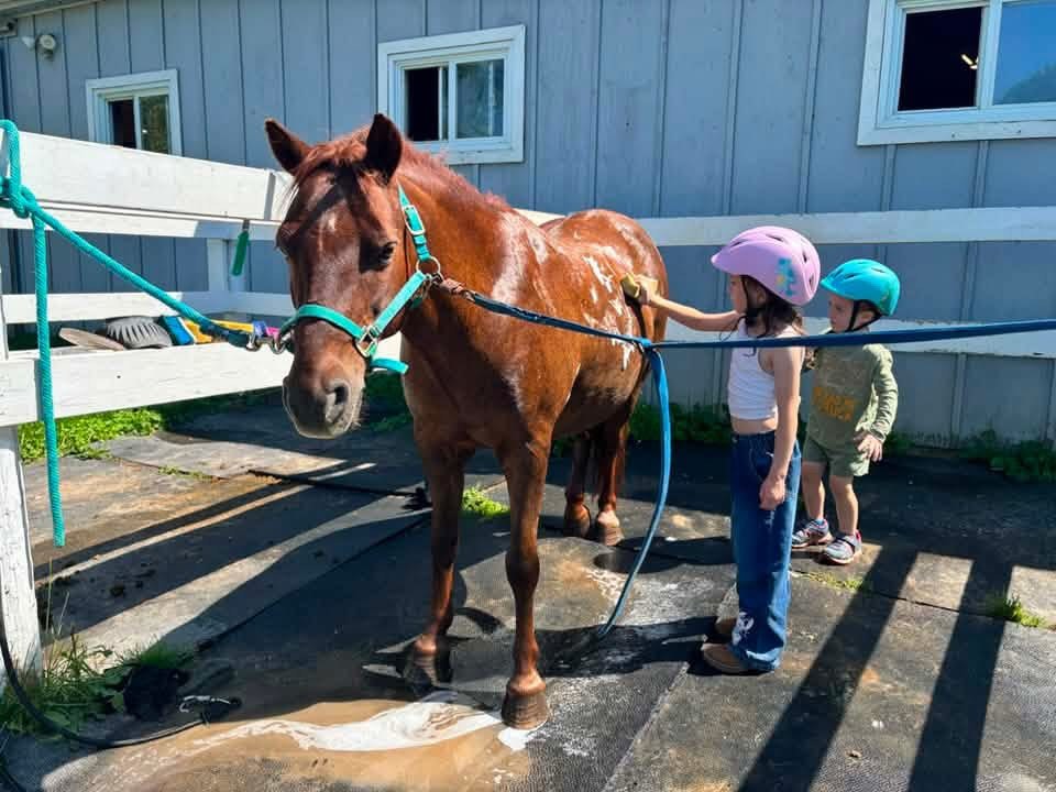 Mr. Richard teaching the littles all about horse care!
Riding horse is so much more than just sitting on a horse’s back. Understanding the care and what ‘horsemanship’ truly means is essential in becoming a rider.
Although we all have fun jumping and cantering around, learning the basics like good grooming practices, how to muck a stall, what horses eat and need to thrive is vital to being a successful equestrian.
Check out Belle Wood’s horsemanship checklist of skills new riders should learn when they first start lessons 👇
• How to safely halter & lead their horse
• Safety equipment needed for working with horses
• How to groom a horse from head to hoof
• How to identify what requires first aid attention
• Barn safety rules
• How to tack your horse & understanding your equipment
We like to teach these basics right away (even to our Lil Rider program!) to keep students safe and horses happy!
Looking to learn to ride? Shoot us a message to info@bellewoodeq.com to book your assessment lesson 💌
📍Pickering, ON