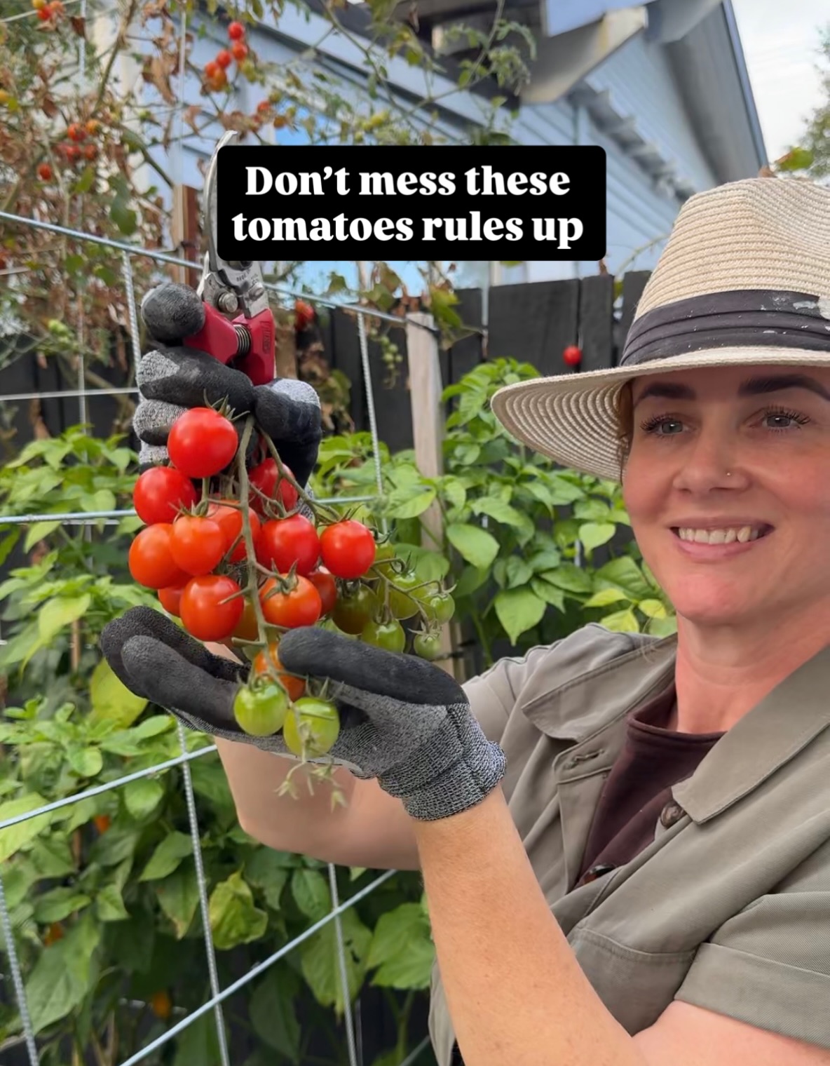 Tomatoes are easy… until they’re not.