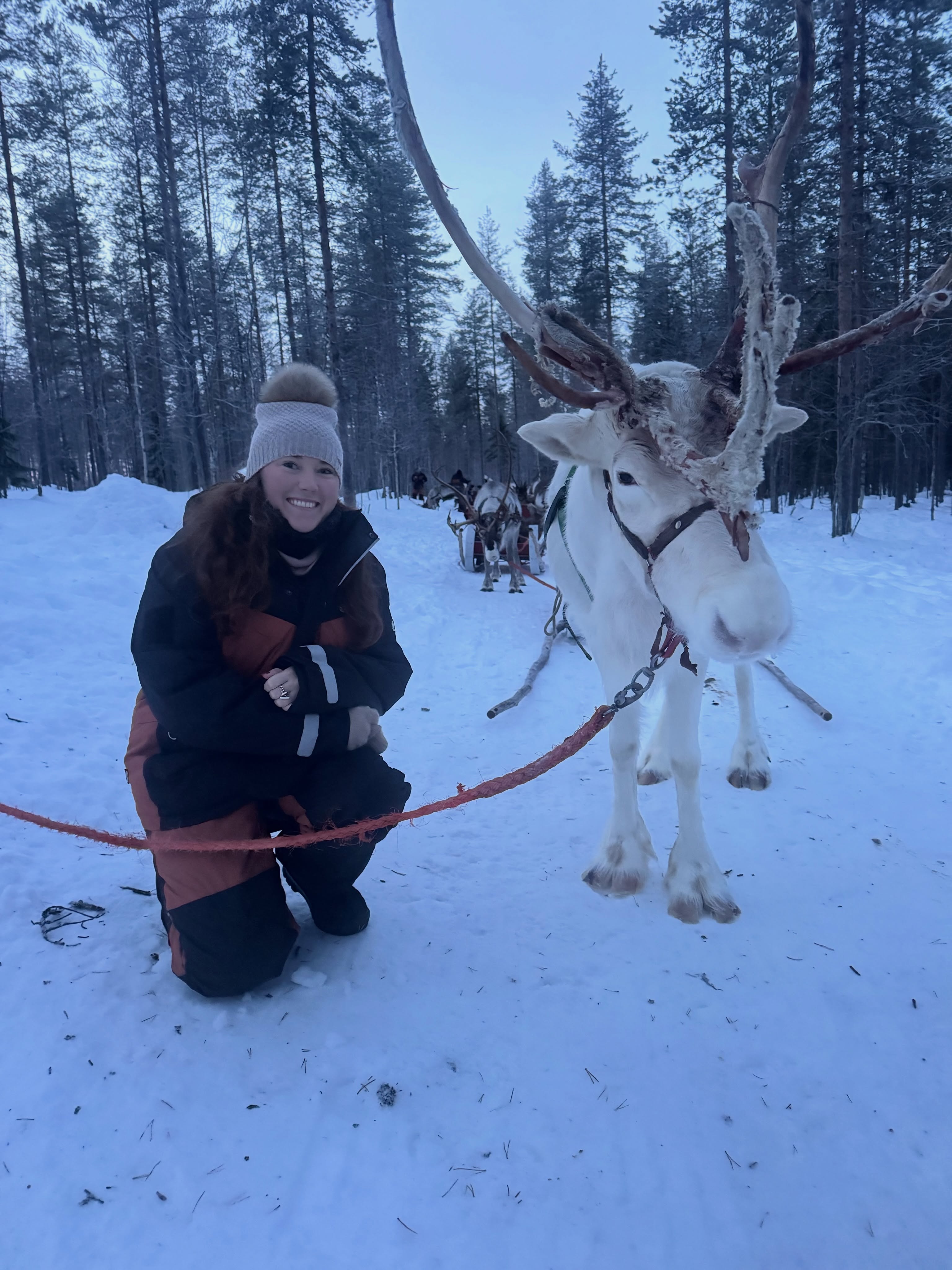 Bienvenue en Laponie finlandaise ! 🇫🇮
Une semaine pendant l’hiver 2025 pour découvrir Rovaniemi et le cercle polaire !