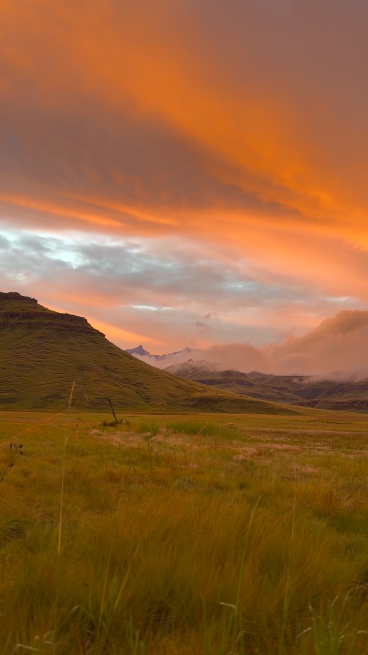 Some places just feel different.
Wild mountains. Open space. Quiet mornings and views that never get old. A place where you can walk for hours, soak in a hot tub under the stars, or simply sit and take it all in.
Giants Cup Wilderness Reserve is about getting away from the noise and finding yourself somewhere beautifully wild.
Come disappear for a while. 🌿⛰️
#beautifulsouthafrica #beautifuldestinations #goplaces #naturelovers #getaway
