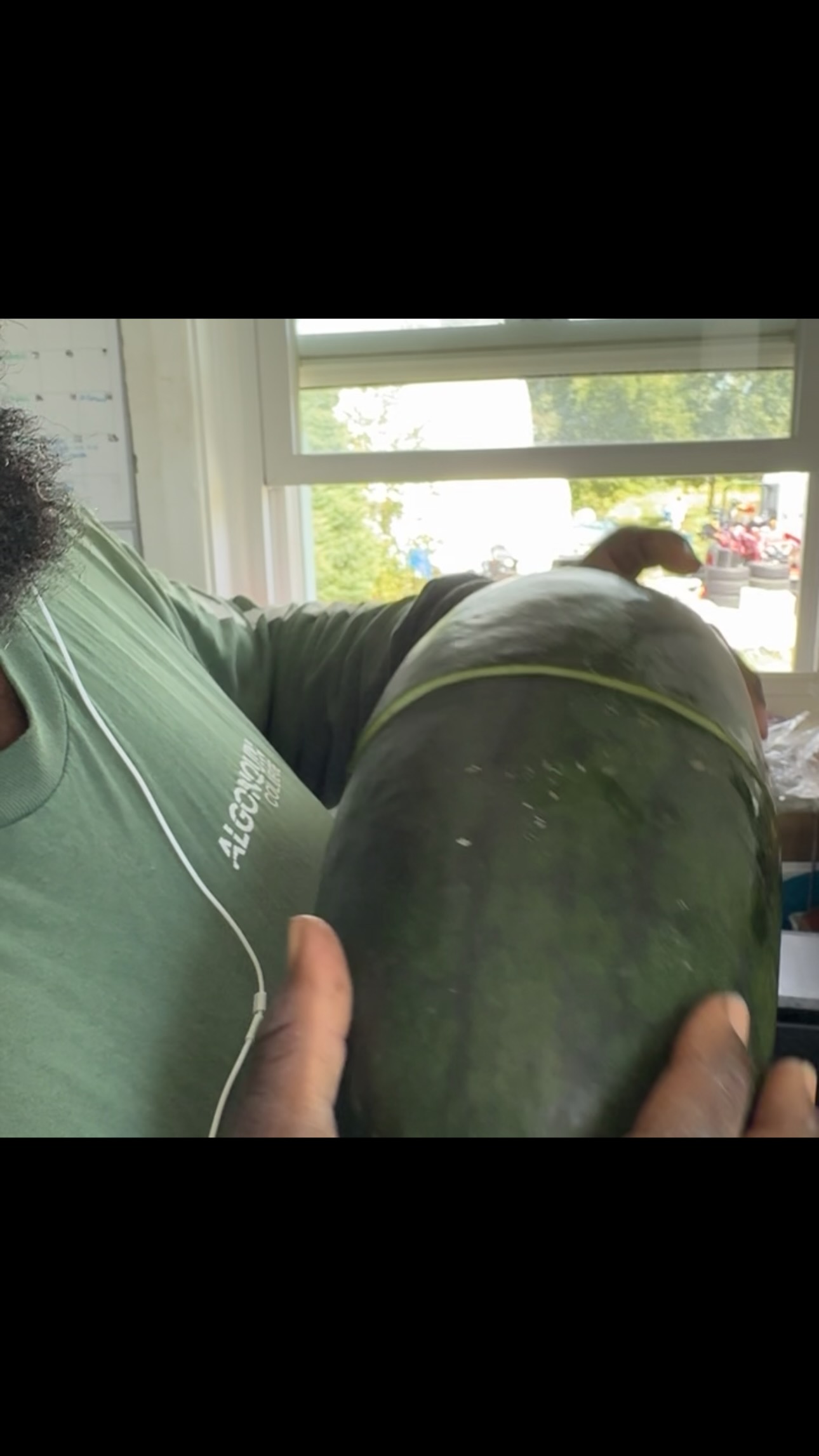 How to know when you watermelon is ripe even with no yellow spot.
#blackfarmer #ottawafarmersmarket #urbanfarm #organic #ottawagatineau