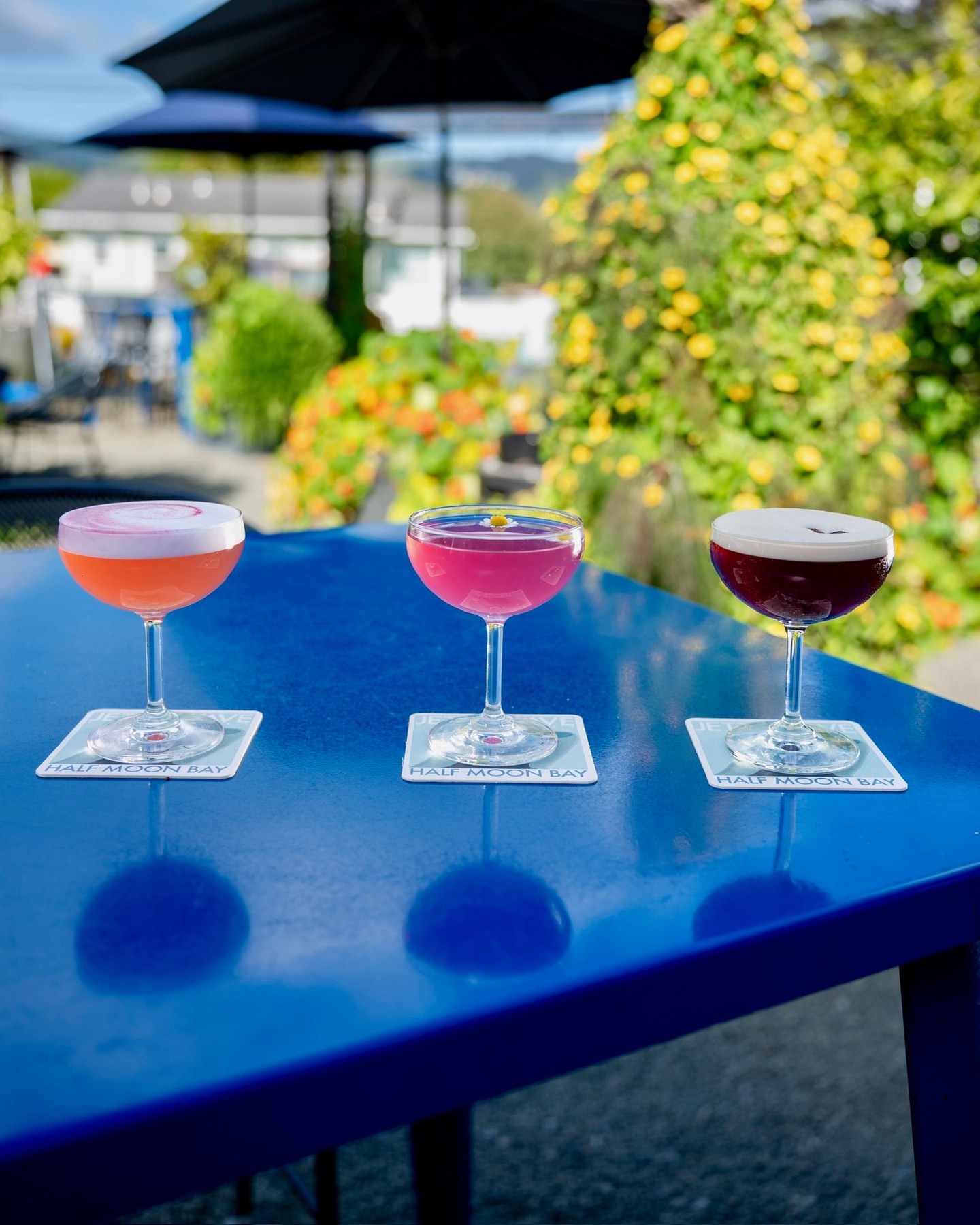 Happy Labor Day! It's another stellar day on the coast! We're open 12-6, see you here!