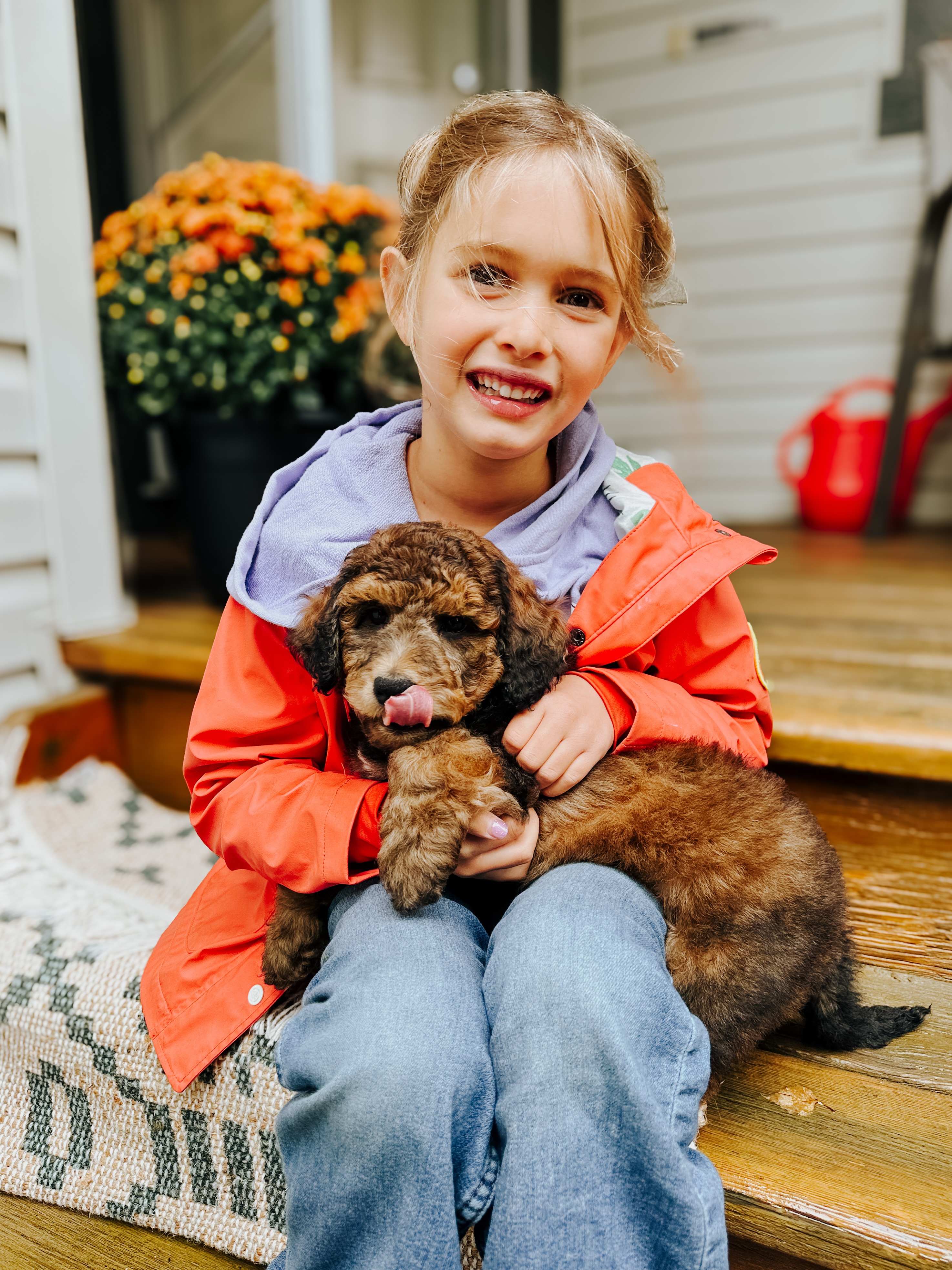 Our Seaglass & Sunshine pups all made their way to their new homes over the long weekend and we couldn’t be happier for them and their families!! 🏡😍🎉
Thanks for choosing us to make this dream come true, everyone!! We loved raising & loving on these little ones over the last two months (can’t believe that part has come to its end already!!!) and know they are going to be the best companions to join you on your adventures, big and small, over the years! 🐾🥰
Tell your puppy we said hi 👋🏼 #gotchaday