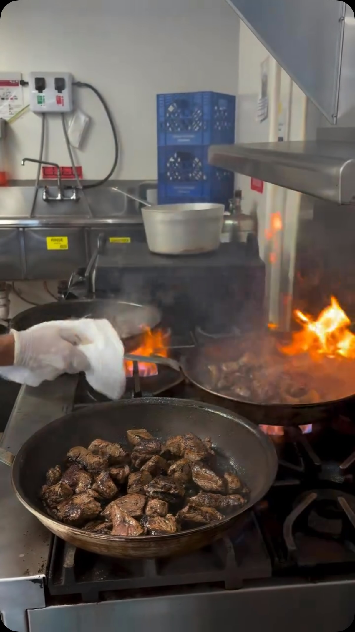 Pan seared beef tenderloin tips.