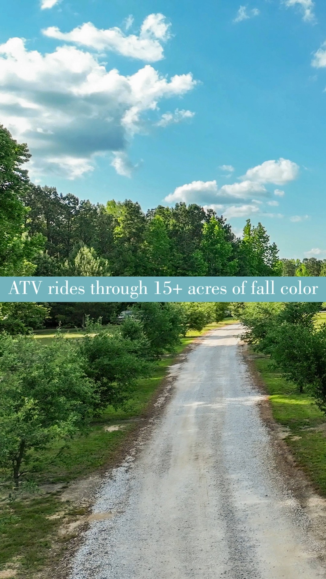 Fall hits different out here. 🍂
There's something about this property that was made for this season. The screened porch. The outdoor fireplace. The acreage. The quiet.
If you've been watching this listing and waiting for a sign, consider this your sign.
3154 County Road 54 W | Notasulga, AL
5 bed | 3.5 bath | 15.6± acres
👉 aprilcoulterrealtor.com/3154-county-road-54w
📲 334.618.5190
#notasulgaal #countrylivingalabama #falllisting #acreageforsale #auburnrealestate #leecountyrealtors
