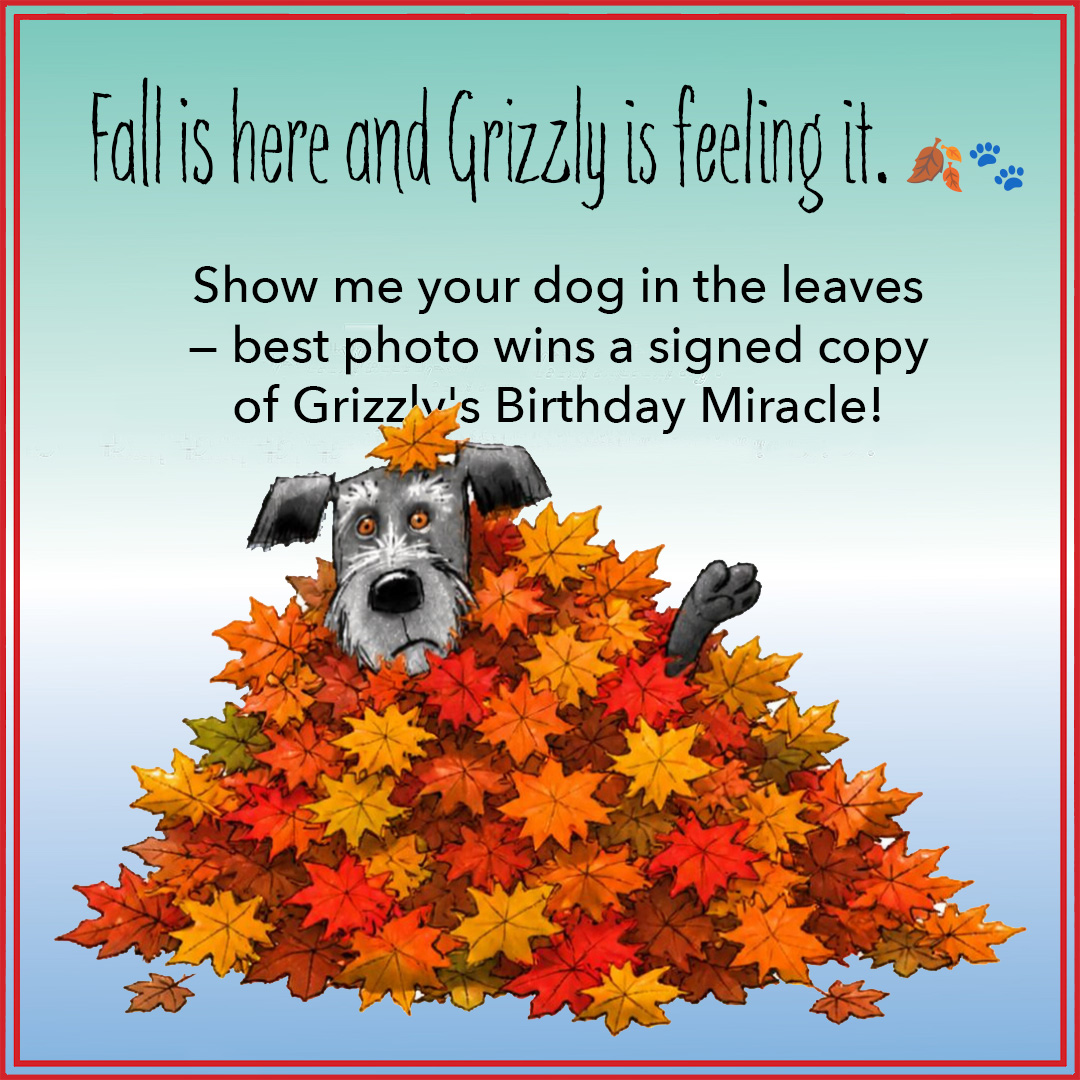 Grizzly's Birthday Miracle — link in bio.
🐾"#grizzlysbirthdaymiracle #nowonamazon #amazonfind #amazonbooks #childrensbook #kidlit #picturebook #newchildrensbook #booksforkids #storytime #bedtimereading #birthdaybook #indieauthor #debutauthor #lesliebeing #jasondoll #animationdog #dogsofinstagram #doglover #dogbook #birthdaygift #giftsforkids #backtoschool #teachersofinstagram #librariesofinstagram
