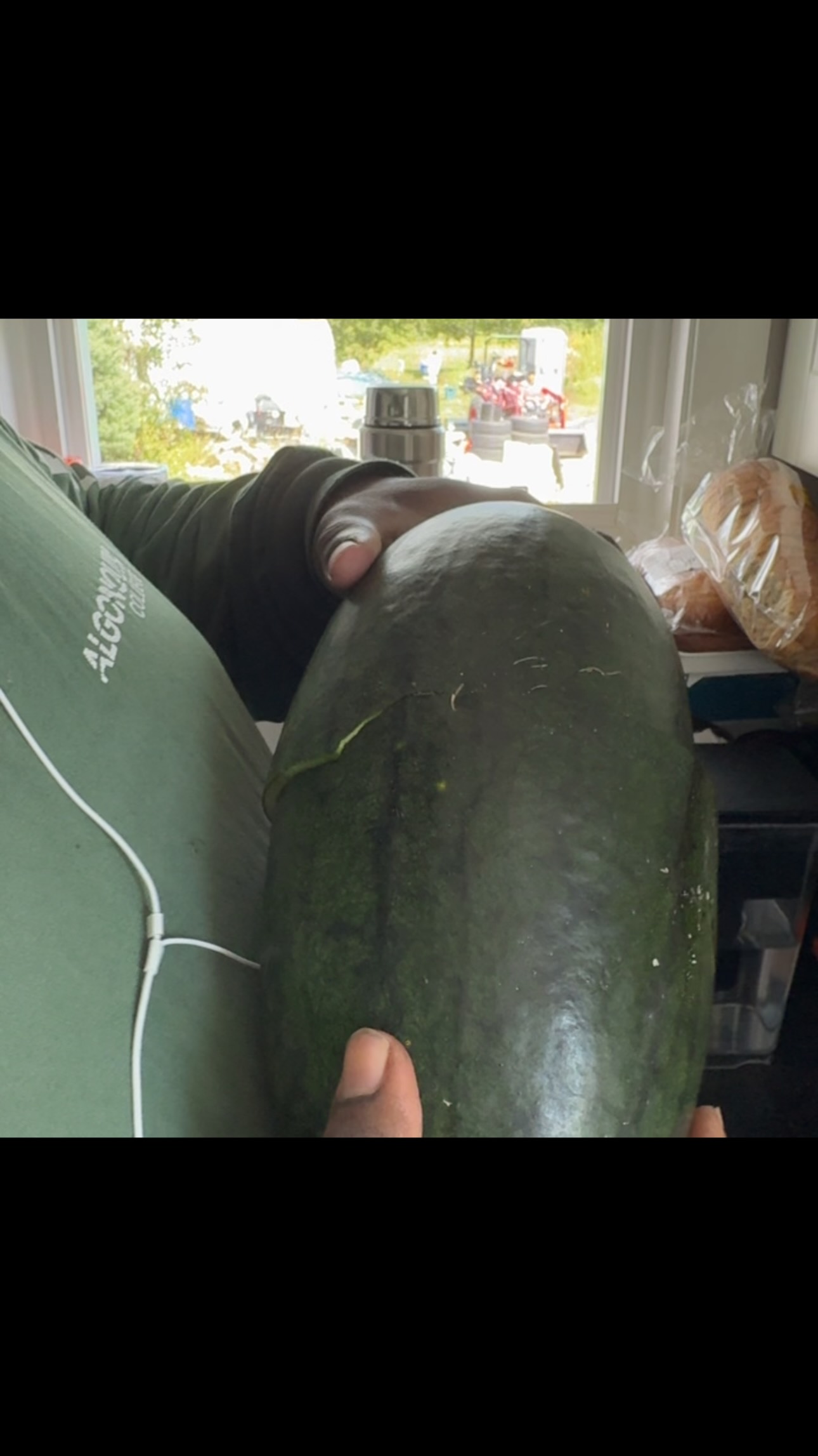 How to know when you watermelon is ripe even with no yellow spot.
#blackfarmer #ottawafarmersmarket #urbanfarm #organic #ottawagatineau