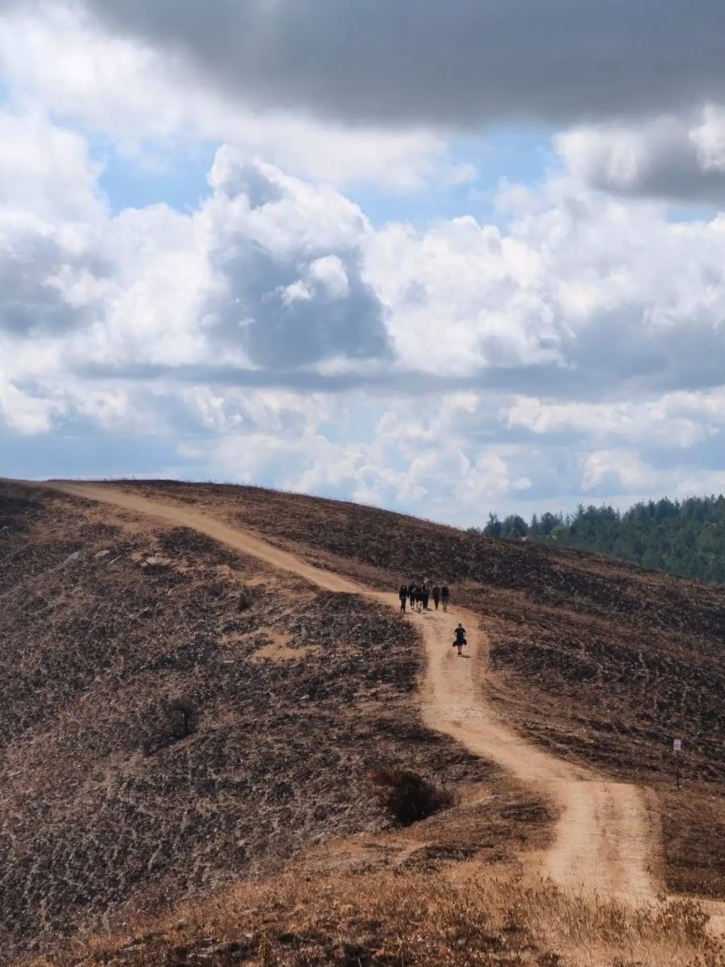 ⛰️ 𝟏𝟏𝟓𝟏 𝐦𝐞𝐭𝐫𝐢 𝐝𝐢 𝐧𝐚𝐭𝐮𝐫𝐚, 𝐩𝐚𝐧𝐨𝐫𝐚𝐦𝐢 𝐞 𝐜𝐨𝐧𝐝𝐢𝐯𝐢𝐬𝐢𝐨𝐧𝐞. 🌿
Il Monte Cornacchia ci ha portati nel cuore dei Monti Dauni, tra i boschi e i sentieri dell’Appennino pugliese. 🥾🌲
Partendo dal suggestivo Lago Pescara, abbiamo seguito un percorso ad anello fatto di salite, discese e panorami sempre nuovi, fino a raggiungere i 𝟏𝟏𝟓𝟏 𝐦𝐞𝐭𝐫𝐢 della cima più alta della Puglia. ✨
Una giornata fatta di passi, natura e quella bellezza che si scopre lentamente, camminando insieme. 💚
💬 𝐓𝐮 𝐜’𝐞𝐫𝐢? Qual è il momento che ti è rimasto più impresso?
Se invece ti sei perso questa giornata…
niente paura 👀
Il prossimo evento è già in arrivo!
Seguici per non perderti i prossimi appuntamenti con NEDA. 🌿🥾
(Photo by @lobeliacornacchia )
.
.
.
#montecornacchia #biccari #puglia #natura #escursionismo