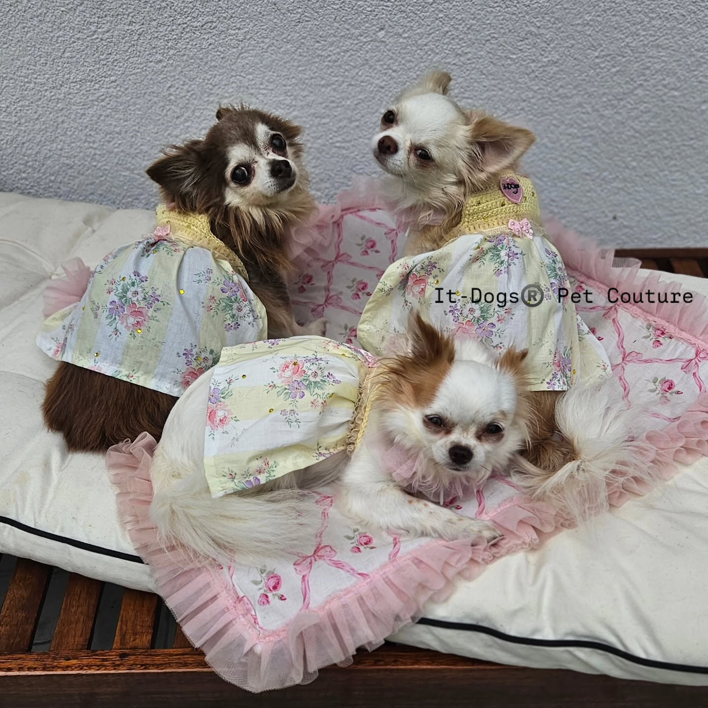 The sweetest dress ever💛
Don't miss out it!
Link in bio to shop🛍
❤️🇮🇹
#itdogs #dogshop #petshop #onlineshopping #shoppingonline