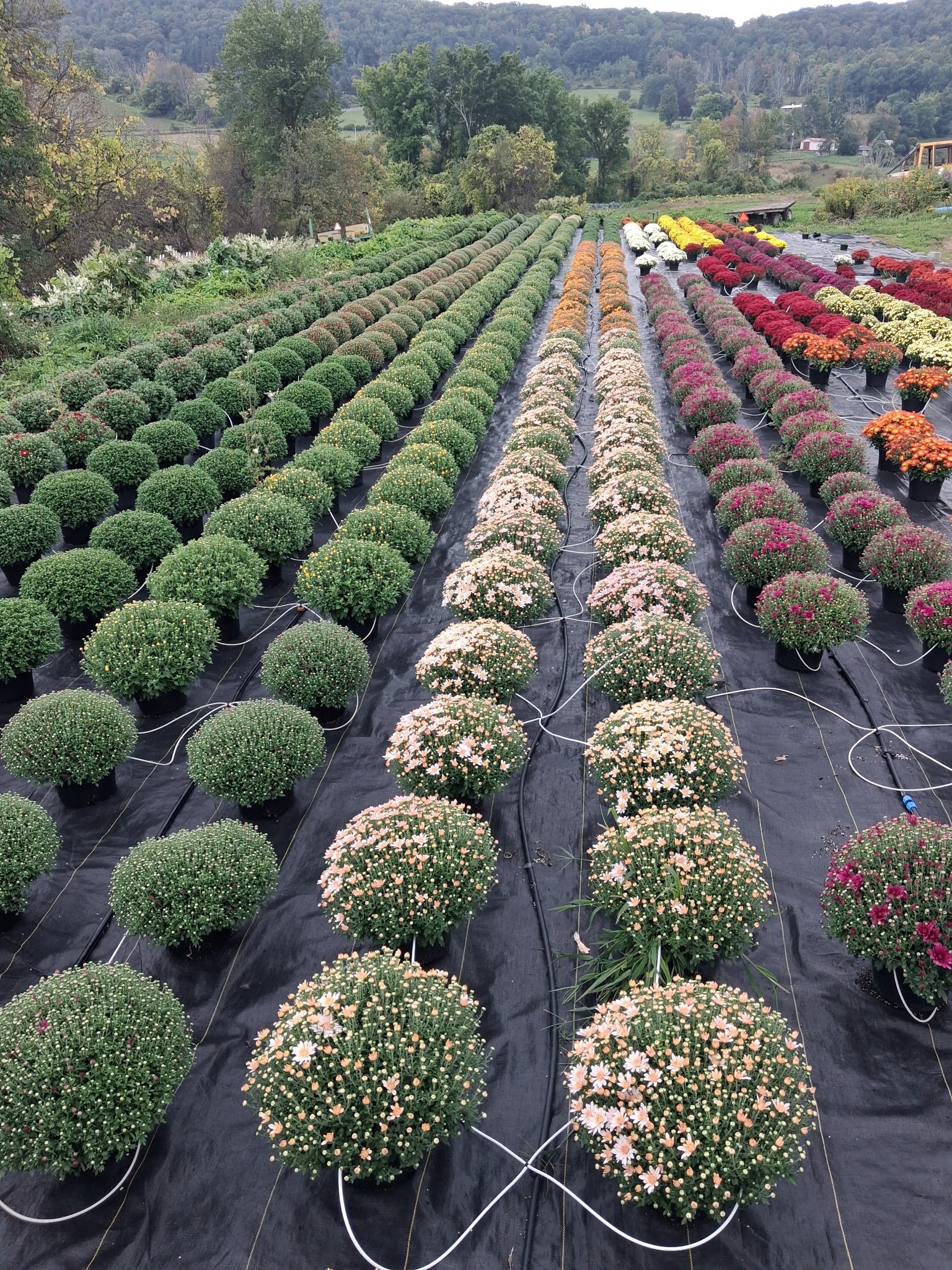 Itโs a beautiful morning!
We would love to see you this weekend ๐
Open daily 9 a.m. to 6 p.m.
4933 NY-145, Cobleskill, NY