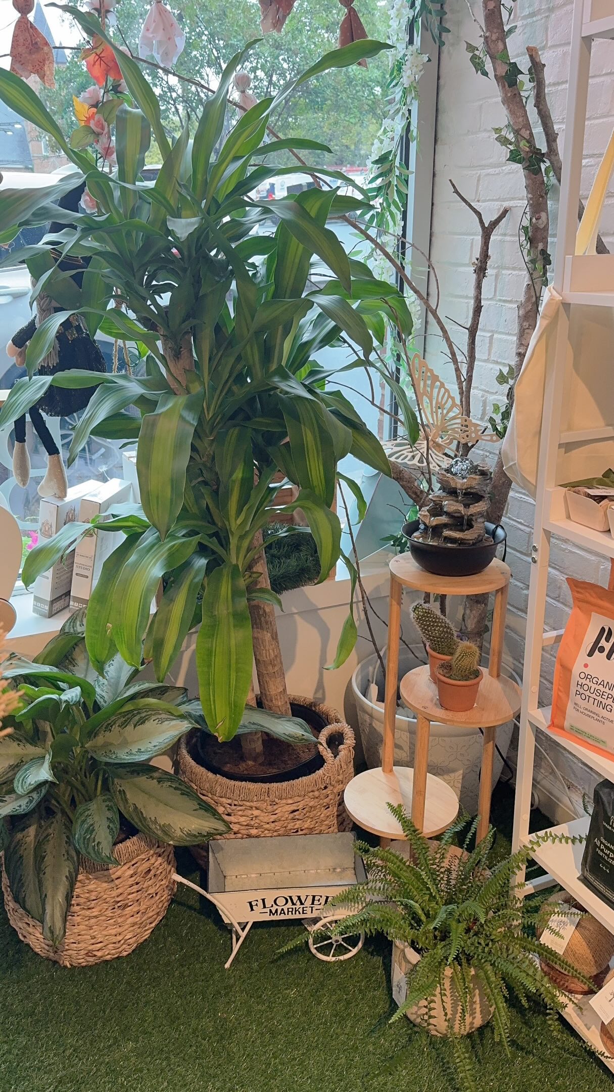 Fall day has started 🍁 this week with rain and a bit chill weather. It’s time to adjust our body to fit in with the season.
If you need umbrellas 🌂 we have them available in store, quality one
If you need fall collection dress, YES, we also have them inside our store.
Come check out and say “Hi” 🥰
The Botanique & Co
112 2nd St, NE, Charlottesville, VA
www.thebotaniqueco.com
#thebotaniqueandco #fall #season #change
