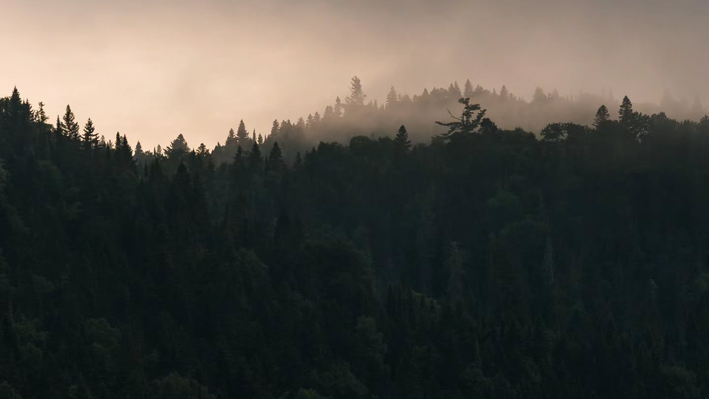 Just the fog from Lake Superior rolling in. 🌫
(2026-07-13)
#lakesuperior #fog #northernontario #moodygrams #inthewoods