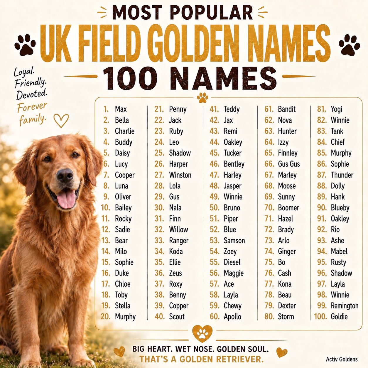 Choosing a Goldens name is serious business…
It needs to suit a dog who will:
• steal your spot on the couch
• carry one sock around like it’s a priceless trophy
• hear a cheese packet open from three suburbs away
• look this handsome while doing absolutely nothing helpful
We’ve put together 100 name ideas for your future red-headed troublemaker 🐾
Which one are you choosing?
#UKFieldGolden #GoldenRetrieverNames #ActivGoldens #DogPeople #FutureBestFriend