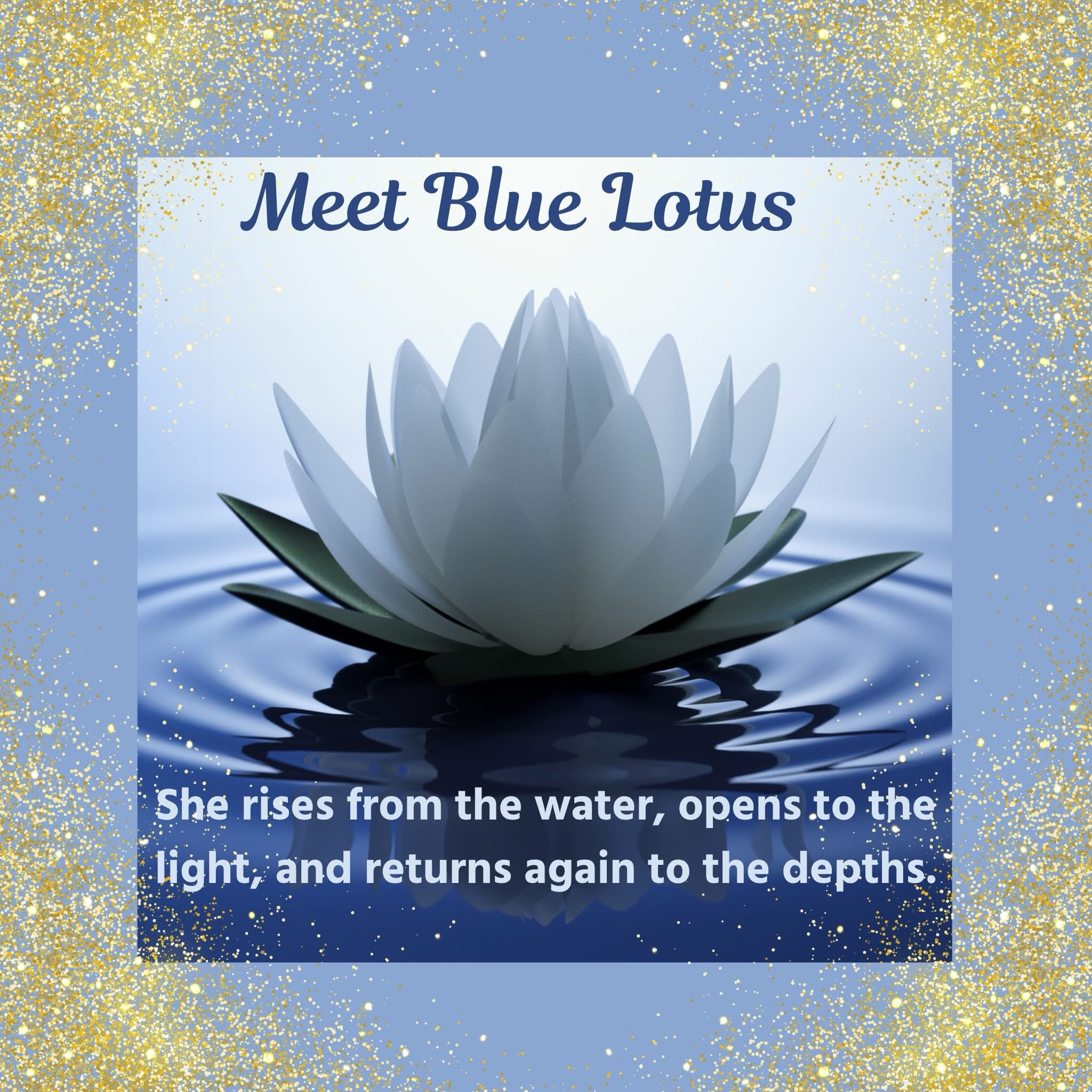 Blue Lotus has fascinated me for some time.
There is something about her that feels almost like a teaching in itself.
She emerges from the water. Opens toward the light. And returns again to the water.
Opening. Closing. Emerging. Resting. Light. Darkness.Revelation. Mystery.
The Egyptian blue water lily appears throughout ancient Egyptian art and sacred imagery, where it became associated with the sun, renewal and rebirth.
But what draws me to Blue Lotus isn’t simply her history. It’s the invitation I feel when I sit with her. Stop trying so hard to know.
Listen. Notice. Let something reveal itself in its own time.
We live in a world that wants everything immediately.
Answers. Clarity. Direction. Certainty.
And I wonder sometimes what we miss because we are so busy trying to figure everything out.
Blue Lotus feels like another way. A reminder that there are seasons for opening toward the light... and seasons for returning to the quiet waters. Both belong. Both are sacred.
And perhaps we don’t always need to force the next revelation.
Perhaps we need to become quiet enough to receive it.
🪷 THE TEMPLE OF VISION
21 Days with Blue Lotus
We enter October 5.
Yesterday I asked: What if you stopped searching?
Today I’m wondering: What might begin to reveal itself if you did?
🪷🌙
#TempleOfVision #BlueLotus #SacredListening #InnerKnowing #DivineFeminine