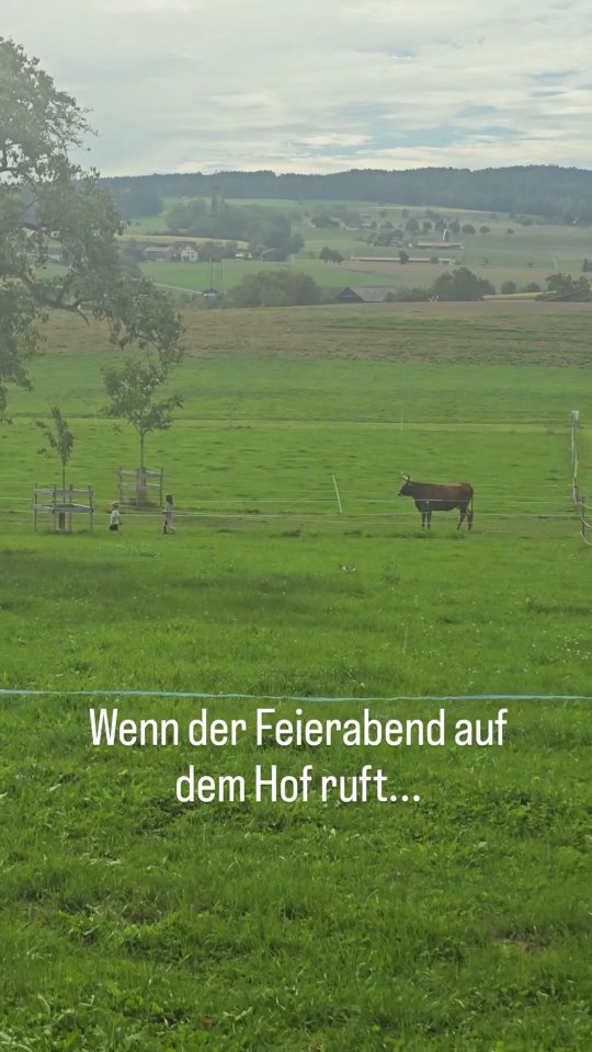 Wenn der Feierabend auf dem Hof so aussieht... 💛
Wenn Papa mit den Kids loszieht um unsere Longhorns für die extra Portion Futter in den Stall zu holen, geht mir jedes Mal das Herz auf. Teamwork, frische Abendluft und unsere sanften Riesen. Besser kann ein Tag nicht ausklingen. ✨🐮
#familienleben #texaslonghorns #bauernhof #abendstimmung #mutterkuhschweiz