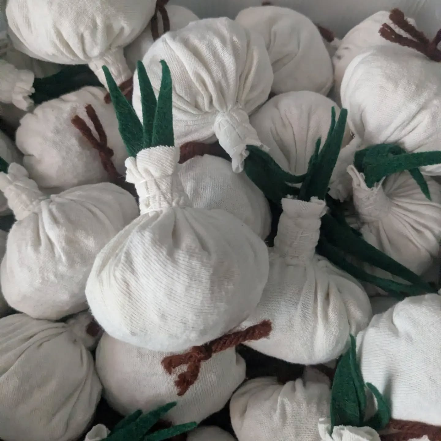 We'll have some special cat toys at the Windsor Garlic Festival this Saturday!
πββ¬πΎπ»
