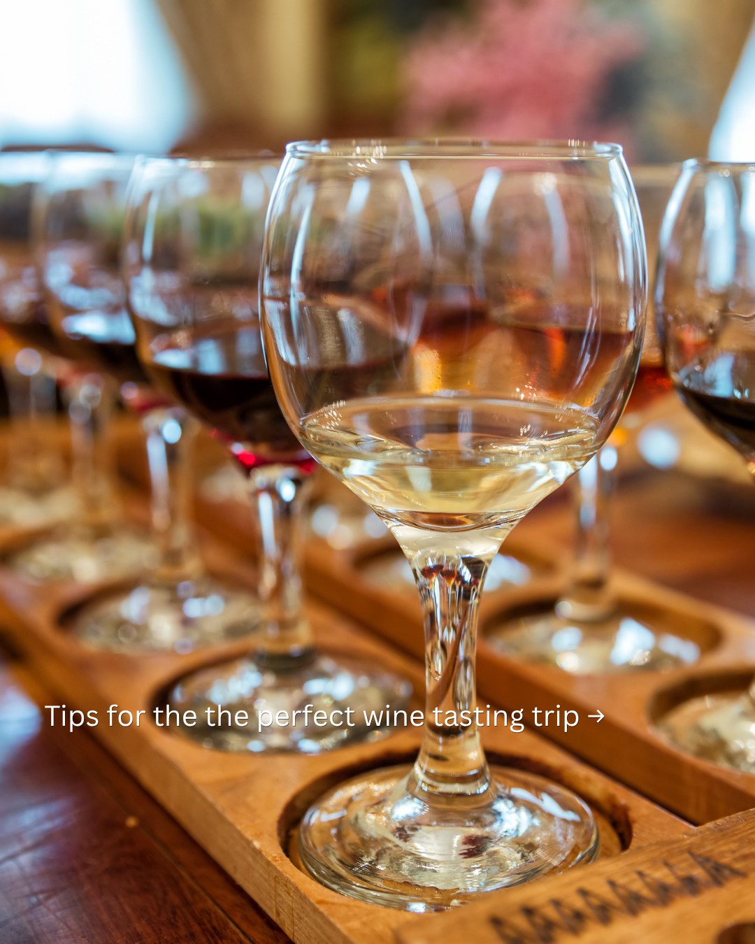 One of the easiest ways to improve a California wine tasting trip? Stop trying to visit every winery in one weekend.
For most travelers, three tastings in a day is plenty — and two can be even better if you’re adding a long lunch, winery tour, or special tasting experience.
Wine country is much more enjoyable when there’s time to linger.
Our free California Wine Country Starter Guide walks you through pacing, choosing a region, and planning a better wine weekend.
Comment GUIDE and we’ll send it your way.