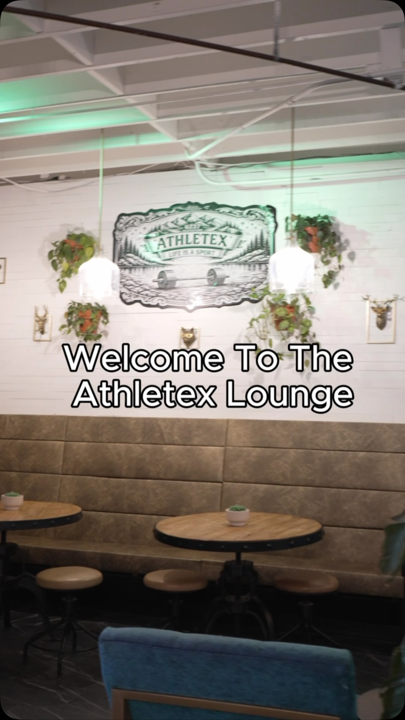 Welcome to the Athletex Lounge, where you’ll be greeted by queen Bobo🐶❤️