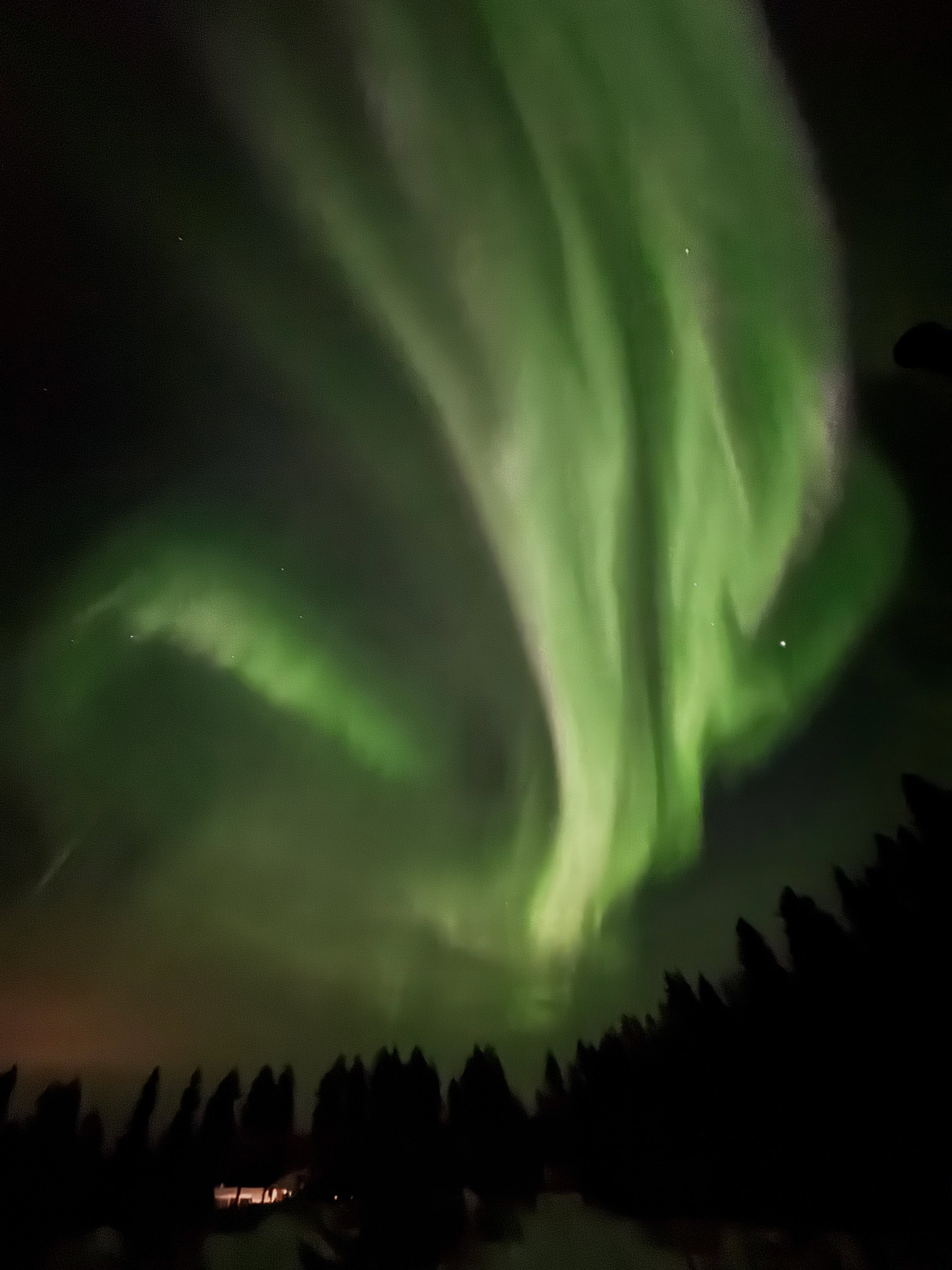 La beauté des aurores boréales ! 🌄
#aurora #auroresboreales