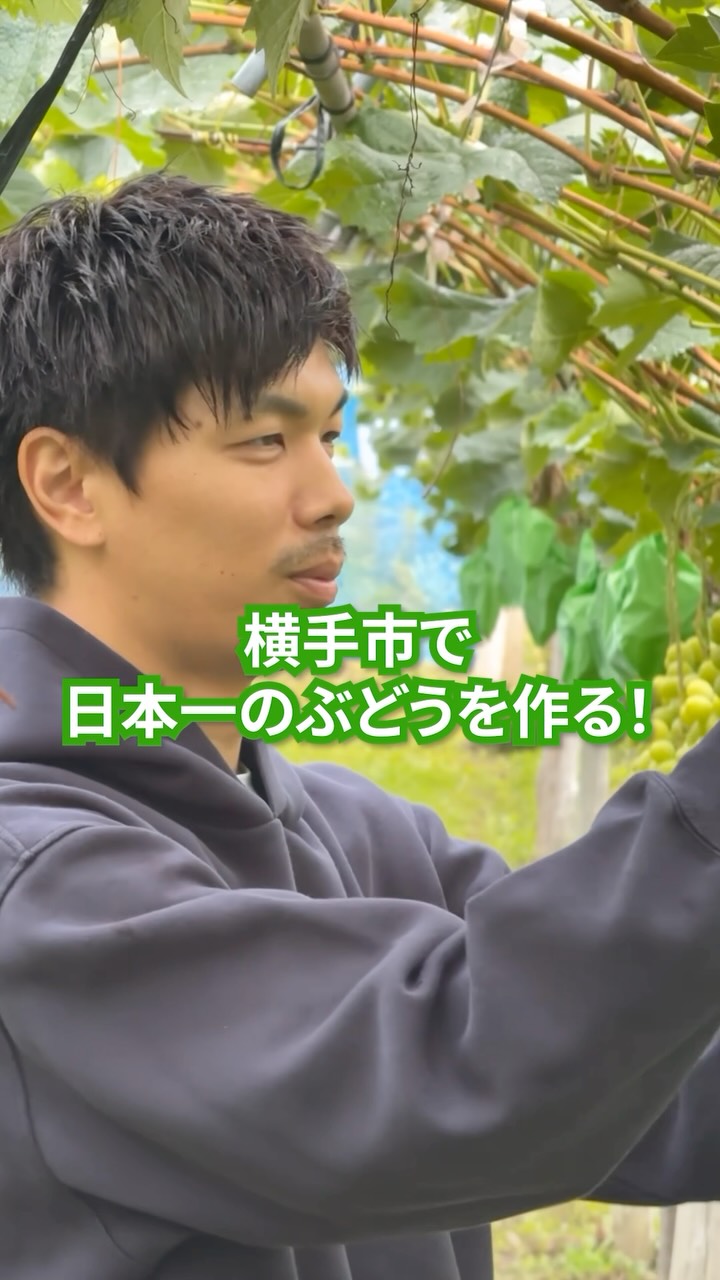 「横手市で日本一のぶどうを作る!」
ぶどうといえば、温暖な気候で育つイメージがあります。
しかし、ここは秋田県横手市。
豪雪地帯でありながら、昼夜の寒暖差を活かし、甘く香り高いぶどうを育てている農家さんがあります。
今回お話を伺ったのは、小田嶋ぶどう園のケイタさん。
( @odashima_grape )
「美味しくない葡萄は絶対にお客さんに届けたくない」
色、味、香り、一房一房にこだわりながら、横手の雪と向き合い、さらに生産量を増やすための挑戦を続け