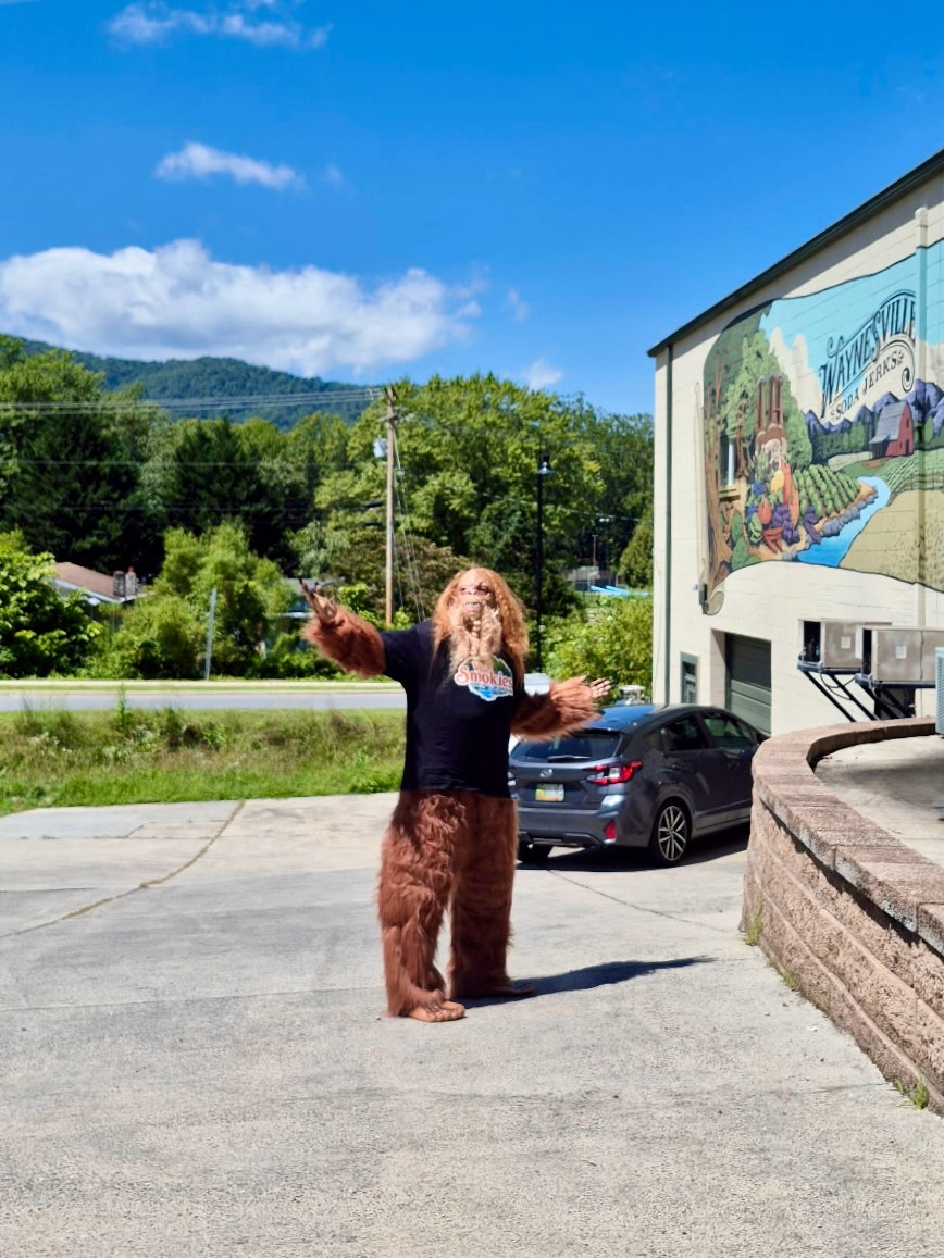Okay, we can finally tell y’all the truth. 🤫 For the last two weeks, Waynesville Soda Jerks has secretly been Carl the Sasquatch’s home base— his official hideout during his big summer journey across Western NC with @visitsmokies Find Carl scavenger hunt!
The whole time he was here, Carl was every bit the local legend— swapping stories with fellow explorers, catching up with old pals like Phoebe Sasquatch and Gene the Bear @nantahalacabins, and (we won’t lie) sneaking a taste of a few tasty sodas around the production facility when he thought no one was looking. 👀
But every good hideout has to end sometime. Today, Carl’s packing up his giant feet and heading off to his next stop on the journey. Thanks to everyone who followed the clues and found him with us— we are going to miss him so much! We will not miss finding Sasquatch hair around the corners of the shop, though. 😄
Safe travels, Carl! 🧡 Keep following the hunt on Facebook to see where he turns up next.
We’re open 10AM-6PM today through Saturday. 🫧
#craftsoda #smallbusiness #visitsmokies #findcarl #wnc