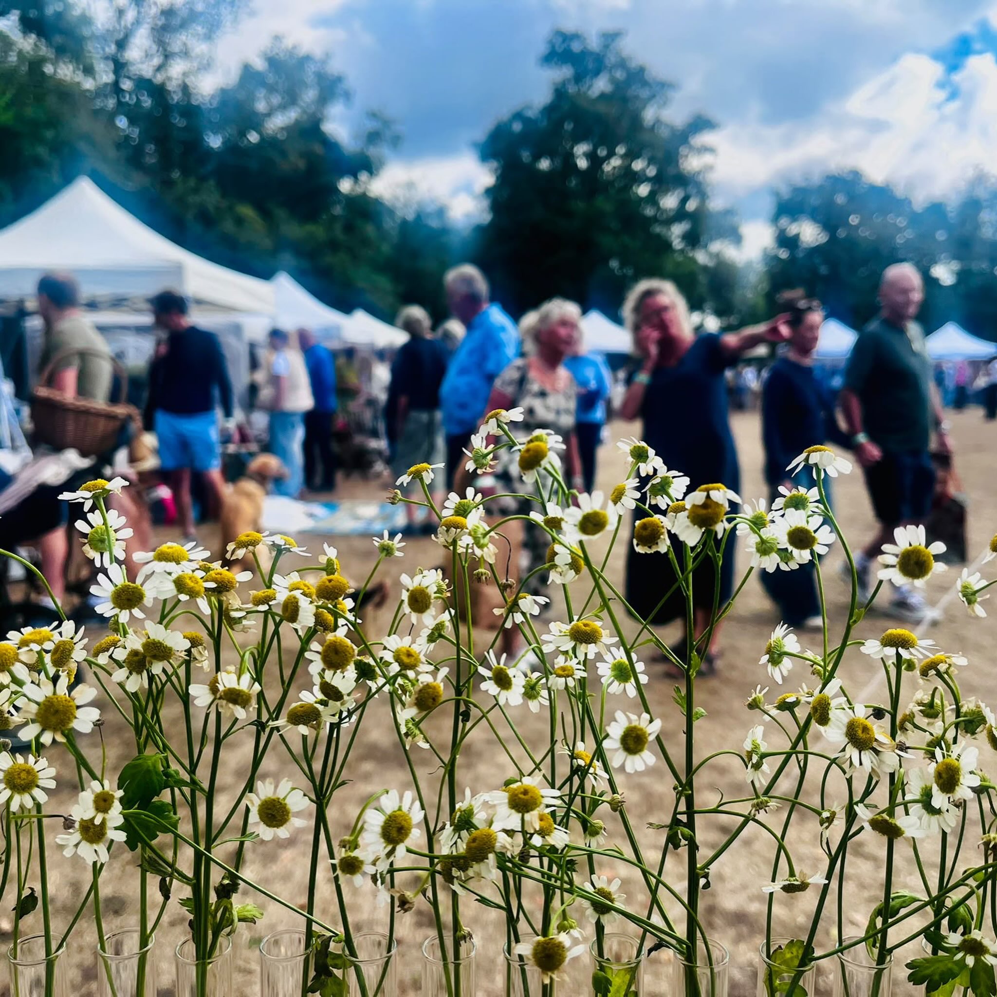 This morning I received a lovely message, with a collection of images captured by one of our visitors to the Summer Brocante last week 😘
Thank you so much Sarah @sarachi.315 they are beautiful 🤩
I’ve tagged a few of the Exhibitors who joined us, and of course if you see anything you like, you never know some things might still be available 😘
Brocante Shopping | Last days of summer | Brocante | Home | Lifestyle