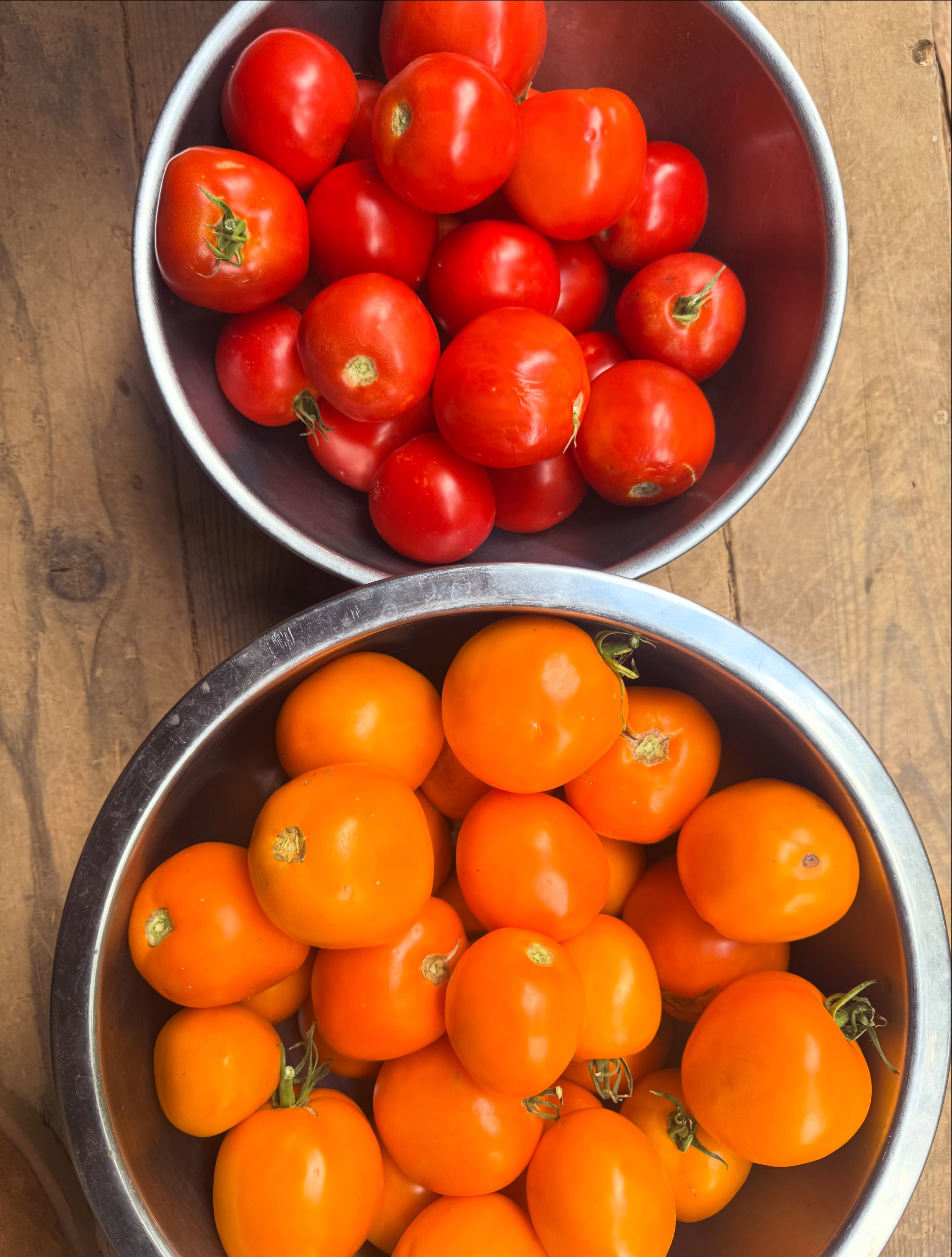 Late summer things ☀️🌻🏕️
Tomato filled days 🍅
Monster cucumbers that go undetected 🥒
Lacto fermented EVERYTHING 🫙
Newly discovered goldenrod patch on our land 💛
Protection magic 🪄🔮
Frequent visits from my mantis friends 👽
Peppers upon peppers ready for hot sauce 🌶️
As many distillations as possible 💦
Finally feeling the call to slow down ✨