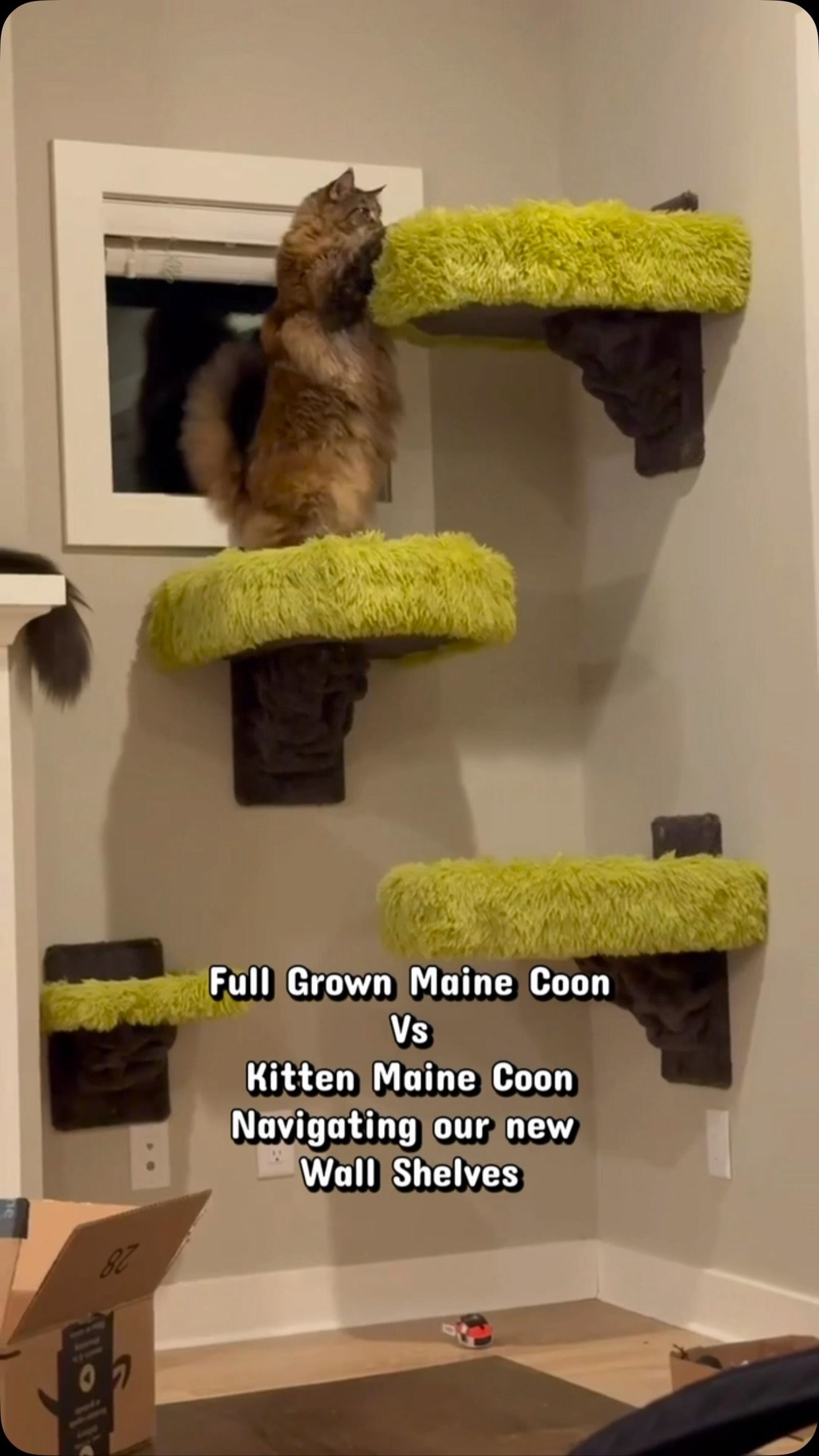 These have been a huge hit lately. Message me for a quote on shipping. Much appreciated cheaper to ship than the cribs!π #catshelves #cats #yyc #calgary