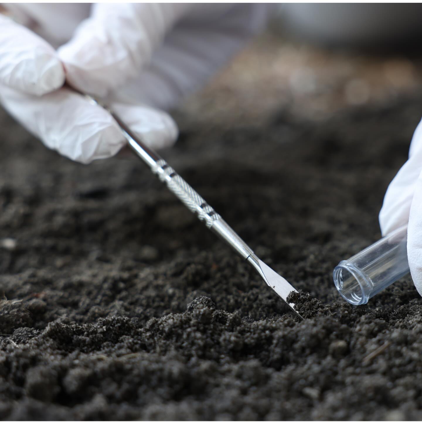 🌱 Healthy soil starts with knowing what’s in it.
Soil testing can reveal nutrient levels, pH, organic matter and potential contaminants... giving farmers, growers and communities the evidence they need to make better decisions.
https://www.safesoil.co.uk/
#SafeSoilUK #SoilHealth