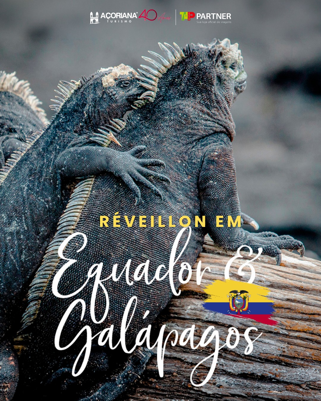 Que tal celebrar o Réveillon em um dos cenários mais fascinantes da Terra? 🐢✨🌋
Embarque com a Açoriana nessa viagem inesquecível pelo Equador e as incríveis Ilhas Galápagos! Uma experiência completa em grupo, com acompanhamento de guia desde o Brasil para você curtir cada segundo sem preocupações.
Nesta expedição dos sonhos, você vai explorar:
🏛️ O centro histórico de Quito e o monumento da Metade do Mundo
🍫 Uma deliciosa experiência com chocolate artesanal
🌋 O grandioso vulcão Cotopaxi
🐢 As maravilhas de Galápagos: tartarugas gigantes, ilha Seymour Norte, Ilha Bartolomé, túneis de lava e sessões de snorkel com tartarugas, pinguins e leões-marinhos!
🌆 A charmosa cidade de Guayaquil e seu Malecón 2000
🗓️ Saída: 29/12/2026
💳 Aéreo + Terrestre a partir de
7x de R$ 3.273
(por pessoa em acomodação dupla)
✈️🧳 Fale com a gente para conhecer este roteiro completo e fazer da sua viagem uma experiência perfeita!
📞 48 3251.3939 (whatsapp)
📧 vendas@acoriana.com.br
*Valores por pessoa em acomodação dupla (consulte tripla ou single) sujeito à variação cambial. Aéreo em tarifa econômica, consulte cidades de partida e outras classes tarifárias. Taxas e impostos não inclusos.Vagas limitadas. Consulte roteiro completo e regras. Imagens ilustrativas.