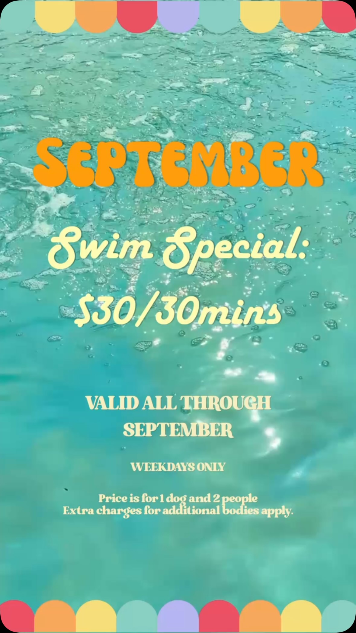 Have you ever wondered if your dog likes swimming? Or wanted to have a short, private swim session with just your dog? This is your chance! Noble Canine Oasis is running a September Swim Promo where you can have 30 minutes of private pool time in our saltwater hydropool for just $30. 🌊
Valid on WEEKDAYS only, 8AM - 8PM.
• Valid through all of September 2026.
• Book through Whatsapp in advance, subject to availability.
• Up-to-date vaccination records or valid titre test accompanied by an up to date Leptospirosis vaccination is required. These must be valid for your chosen date.