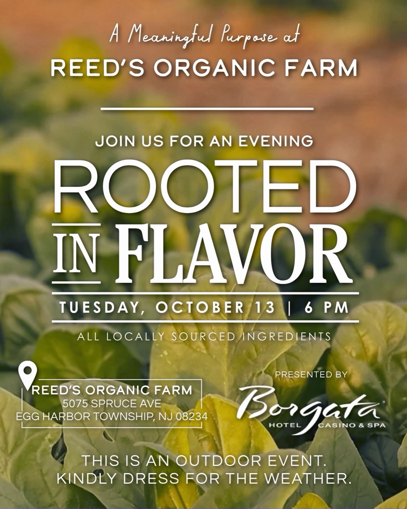 Join us for an intimate, multi-course dinner at Reed’s Farm on October 13th, where Head Chef Deb Pellegrino and top Borgata chefs will craft a farm-to-table experience celebrating fall’s bounty. Enjoy artisanal cocktails, wood-fired pizza, and a rich seasonal menu in a cozy, exclusive setting.
Click the link in our bio for tickets!