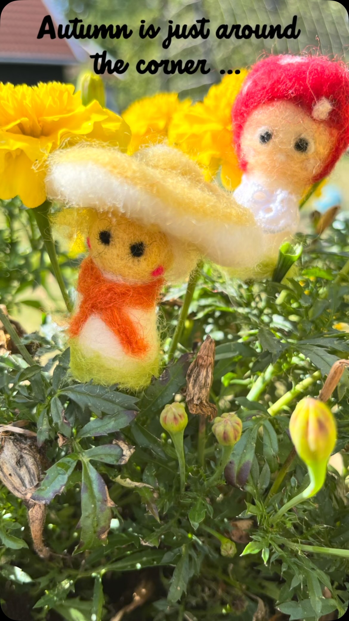Les Petits Champignons Sont De Sortie 🍄
L’automne est bientôt à notre porte… et avec lui revient doucement l’envie de créer de petites choses de saison. 🍂
Cette fois, pas vraiment de tutoriel, juste une petite mignonnerie en laine cardée : deux champignons qui semblent tout droit sortis d’un minuscule monde caché au fond du jardin.
De la laine cardée, une aiguille… et petit à petit, les voilà qui prennent vie.
J’aime aussi ces créations faites simplement pour le plaisir, sans forcément penser à préparer un tutoriel complet derrière.
Est-ce que vous aimeriez voir davantage de petites créations comme celles-ci par ici ?
👉Dites-moi en commentaire : Team Tuto détaillé ou plutôt Team idée sans tuto
—
🇬🇧 The Little Mushrooms Are Out 🍄
Autumn is just around the corner… and with it comes the urge to make little seasonal creations again. 🍂
No detailed tutorial this time, just a little needle-felted idea: two tiny mushrooms that look as though they’ve wandered straight out of a secret little world at the bottom of the garden.
Some wool, a felting needle… and little by little, they come to life.
I also love making things simply for the joy of creating, without necessarily turning every project into a full tutorial.
Would you like to see more little creations like these here?
👉Tell me in the comments: Team Detailed Tutorial or Team Creative Idea Without a Tutorial?
—
#panduromyway @panduroofficial #needlefelting #fallcrafts #feutragealaiguille #creativeautumn
