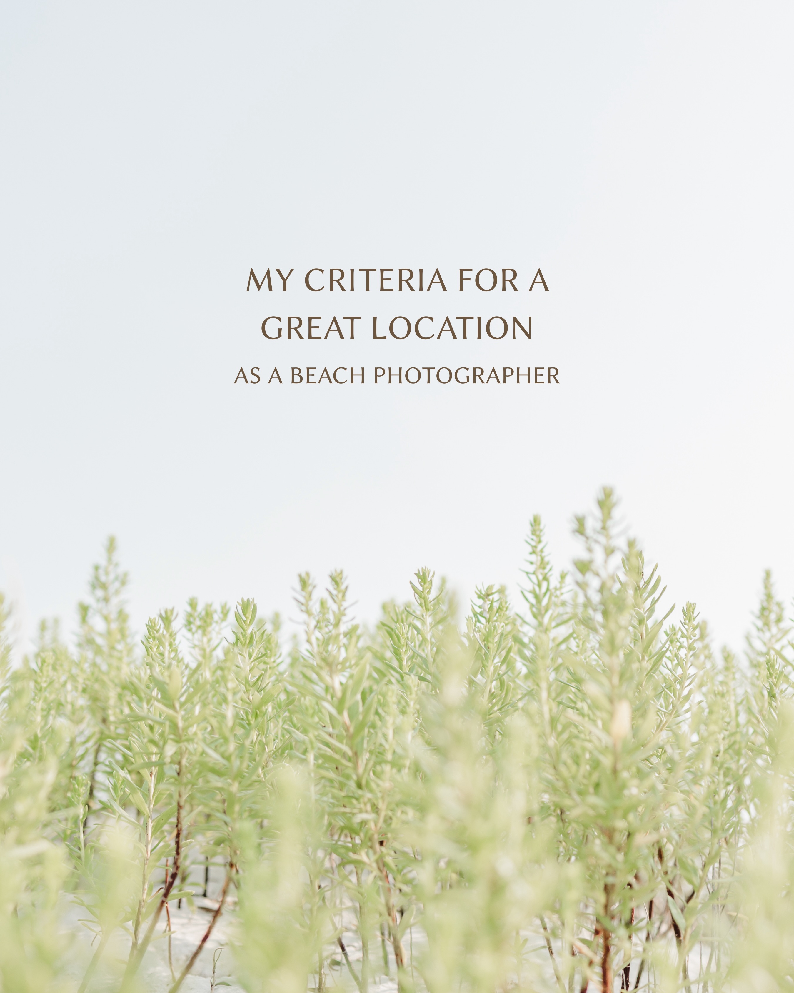 I’ve been at this long enough… and I have opinions when it comes to locations. I’m not exactly a push over when it comes to a location for photos. I’m picky. I have *criteria*. 😅
But I’m nice about it, promise! You’ll hear me smile through the phone as I recommend somewhere different if I don’t like the spot you’re thinking. 😬
I’m all for changing things up every not and then, like for 2nd, 3rd, plus time clients, PLEASE, let’s create art somewhere new, or at least new to me working with you.
A beautiful example is a client I have in just a few weeks, this is her THIRD year working with me. Last two sessions were on Cape San Blas, this year she’s visiting St. George Island. (Which is new to her and to me with us working together.) Obviously I’ve photographed both of those locations far more than with them, but when an element changes, the weather, the client, the wardrobe, the final works of art change too. Making it unique to THAT exact experience.
So even if you book the same location year after year, there is something that always changes… YOU. You are being shaped and crafted by our maker every day. Every year, you have grown, your season has changed and that alone is worthy of documenting.
So trust me with the location and come as you are. Your photographs, the art, they will be uniquely yours, even in the same place, every time. 🤍