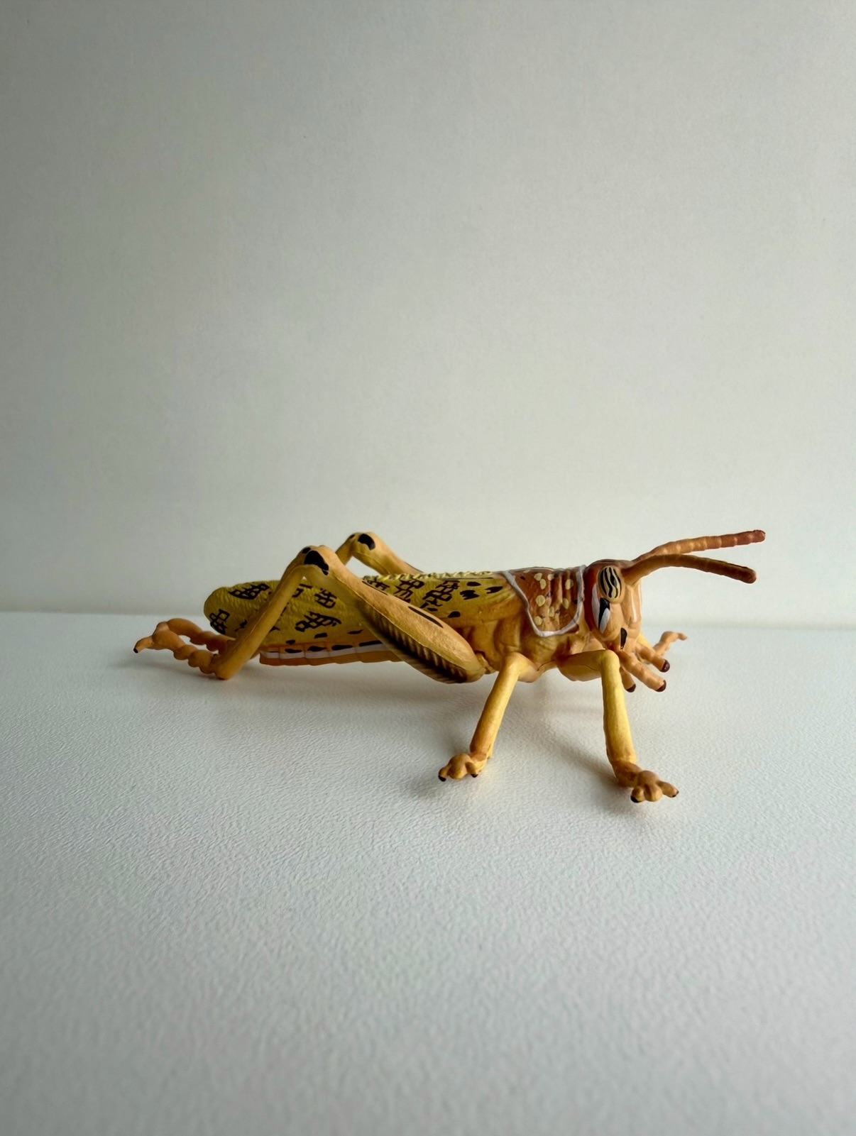 Пустельна сарана Toymany. Ціна 165 грн #комахи_animals_svit #wild_animals_svit #фігурки #іграшки