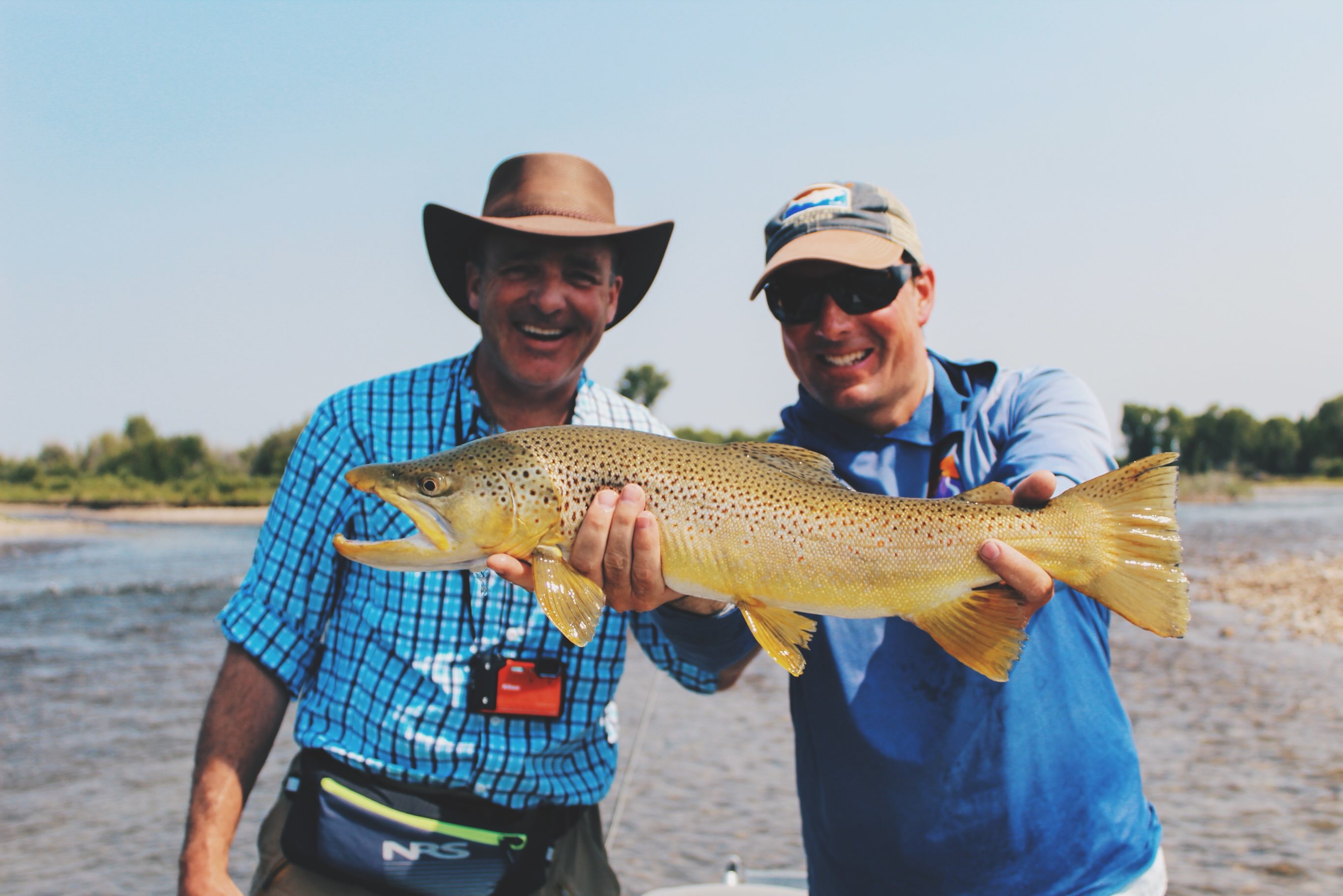 The past few weeks have had a little bit of everything—big trout, bigger wildlife, and some unforgettable trips.
#jacksonhole #Flyfishing #Summer #Tetons
Come book a trip with @western.river.anglers
Www.westernriveranglers.com
(307)-200-7037