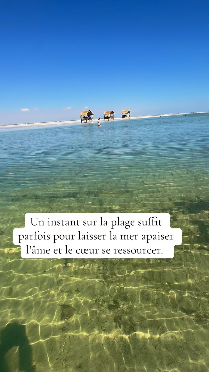 Un instant suspendu sur la magnifique plage de Hessi Jerbi, en Tunisie. 🌊☀️
Le bruit des vagues, le soleil, l’horizon à perte de vue… Parfois, il suffit simplement de s’arrêter, de respirer et de laisser la mer ressourcer notre âme.
#HessiJerbi #Tunisie #Plage #Mer #Evasion Ressourcement PaixInterieure BienEtre