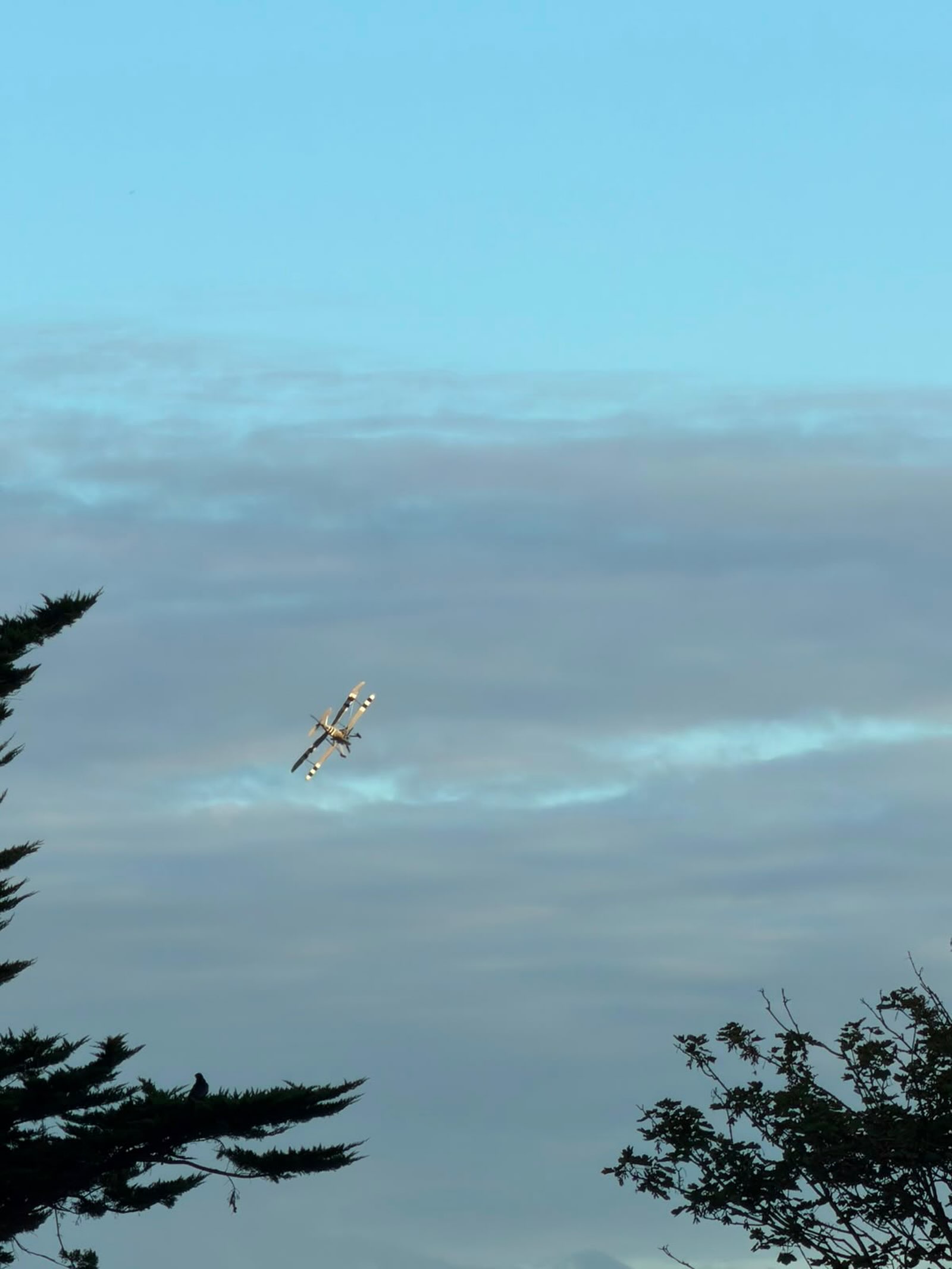 Navy Wings Swordfish is in the skies! 🤩