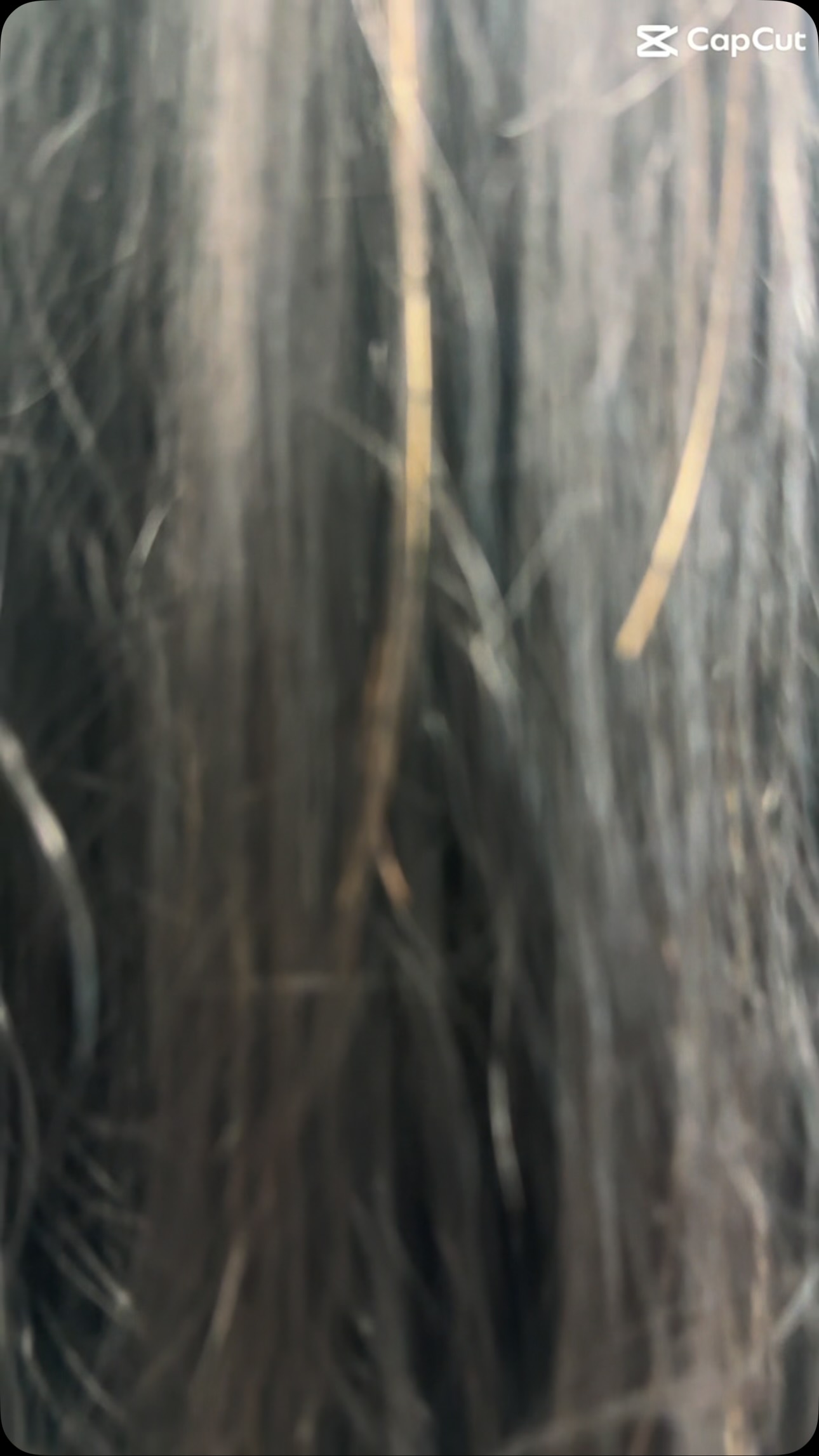 “Went in for a haircut, came out with a whole new identity “#hittorihanzoshears #inshapefitnessbranfordct #moonshotsbranford #modernsalonmagazine #crossfitbranford