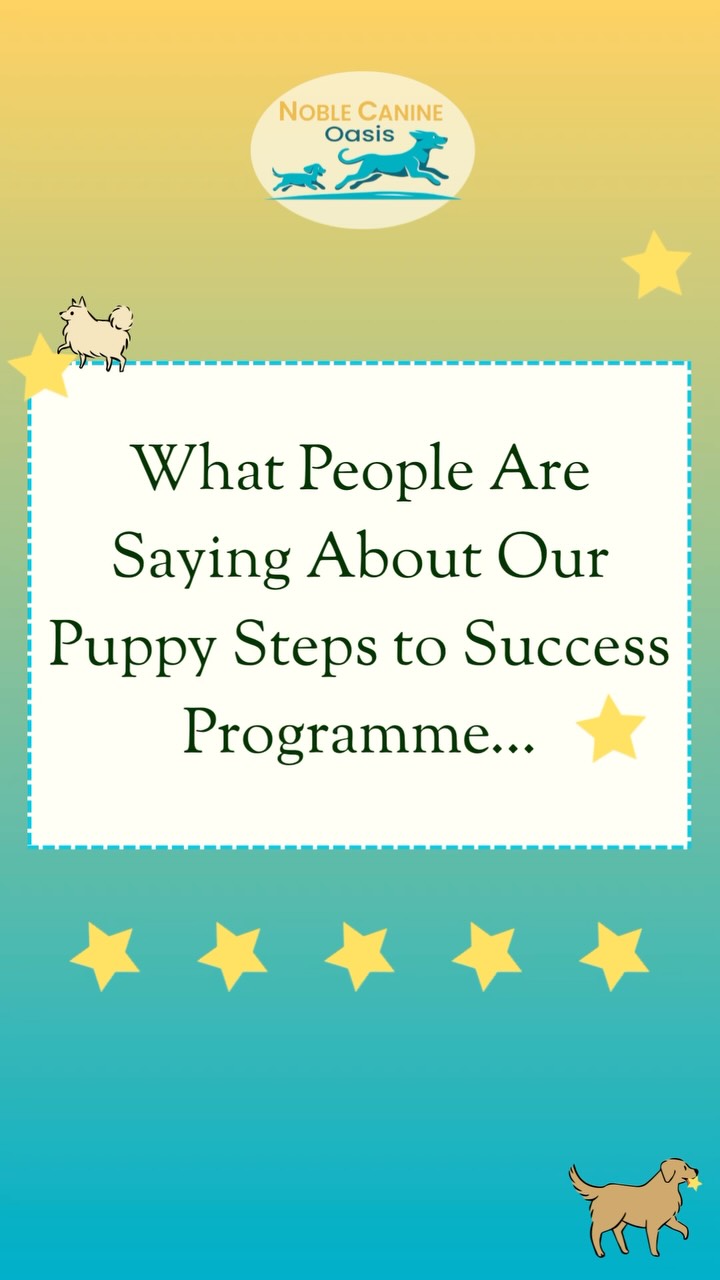 These reviews speak for themselves - our Puppy Steps to Success class is a big hit! Next class begins on September 19th, and spots are filling fast. Sign up through the link in our bio or WhatsApp us at 8339 9199!