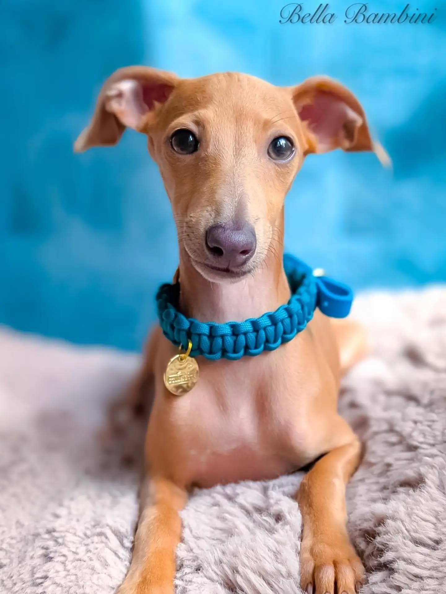 🛍️🥰