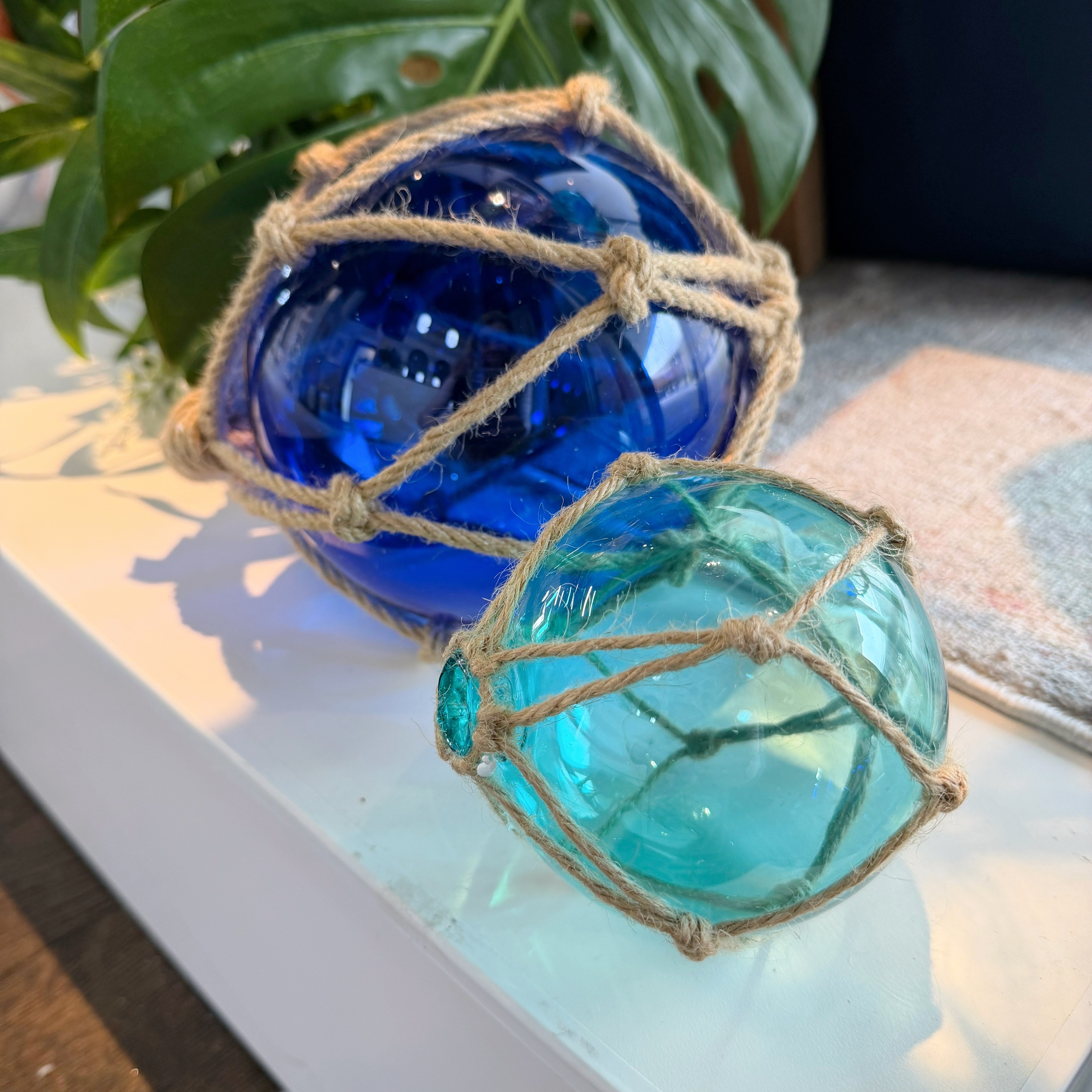 Looking to add a little ocean-inspired glassware to your space?
Our gorgeous fishing floats have just arrived in a beautiful mix of ocean blues and clear glass. Available in a range of sizes, from extra small through to large, they’re perfect for adding a little coastal character to your home.
And if you love these beautiful ocean colours as much as we do… don’t miss out! 💙
#WhiteSandsInteriors
#CoastalHome
#CoastalDecor
#OceanInspired
#FishingFloats
#CoastalStyle
#Homewares
#Longbayvillage