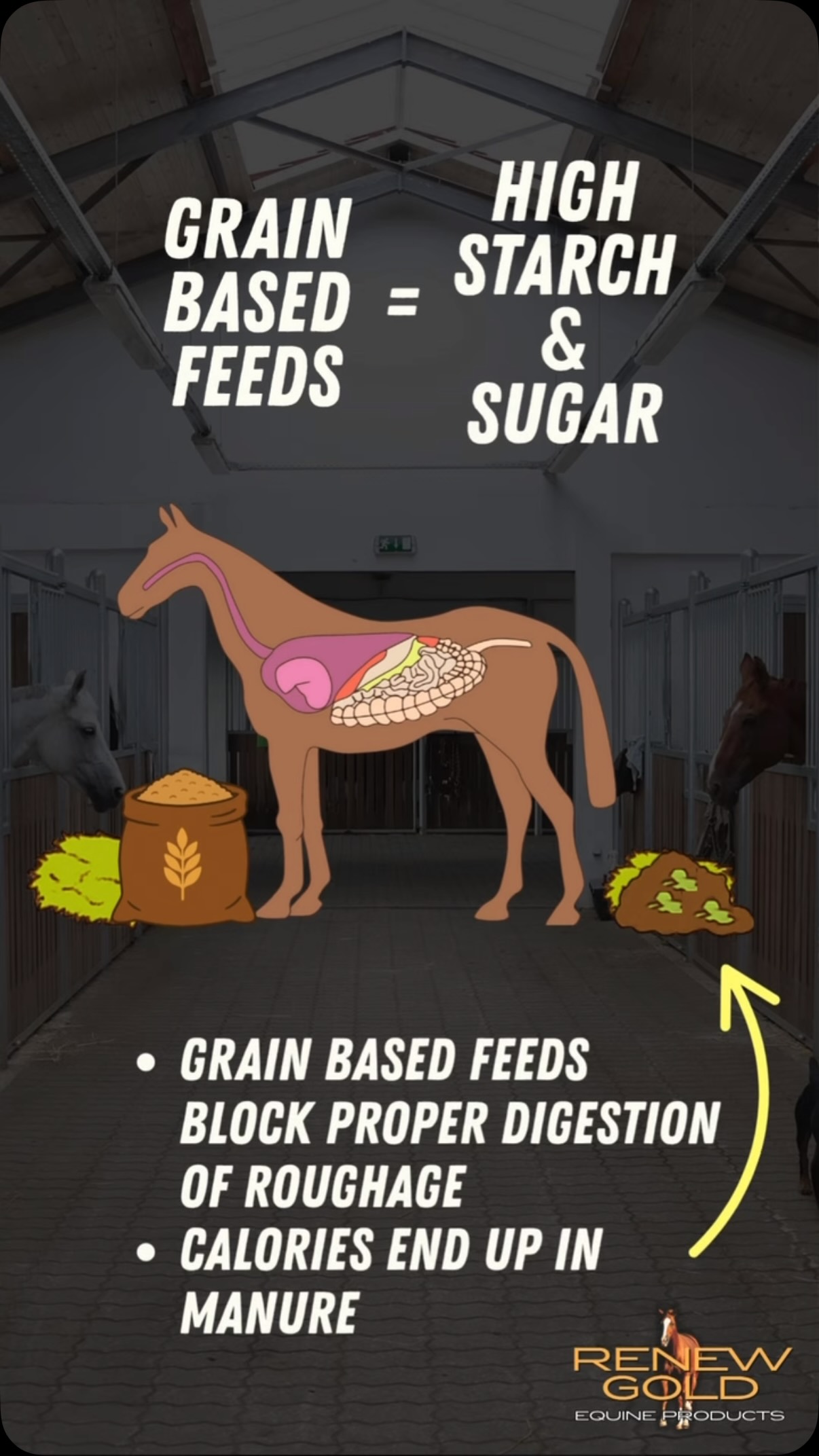 How does Renew Gold work compared to traditional grain-based feeds? š¤š“
Renew Gold takes a different approach. Instead of relying on large amounts of grain for added nutrition and calories, Renew Gold is designed to support your horseās forage-first diet with concentrated nutrition at around 1 lb per day.
Less grain in the bucket. More focus on forage. A smarter, simpler way to feed. š
Watch to see how Renew Gold works differently.
#RenewGold #horsenutrition #fueledbyrenewgold #equinecare #feedsmarter