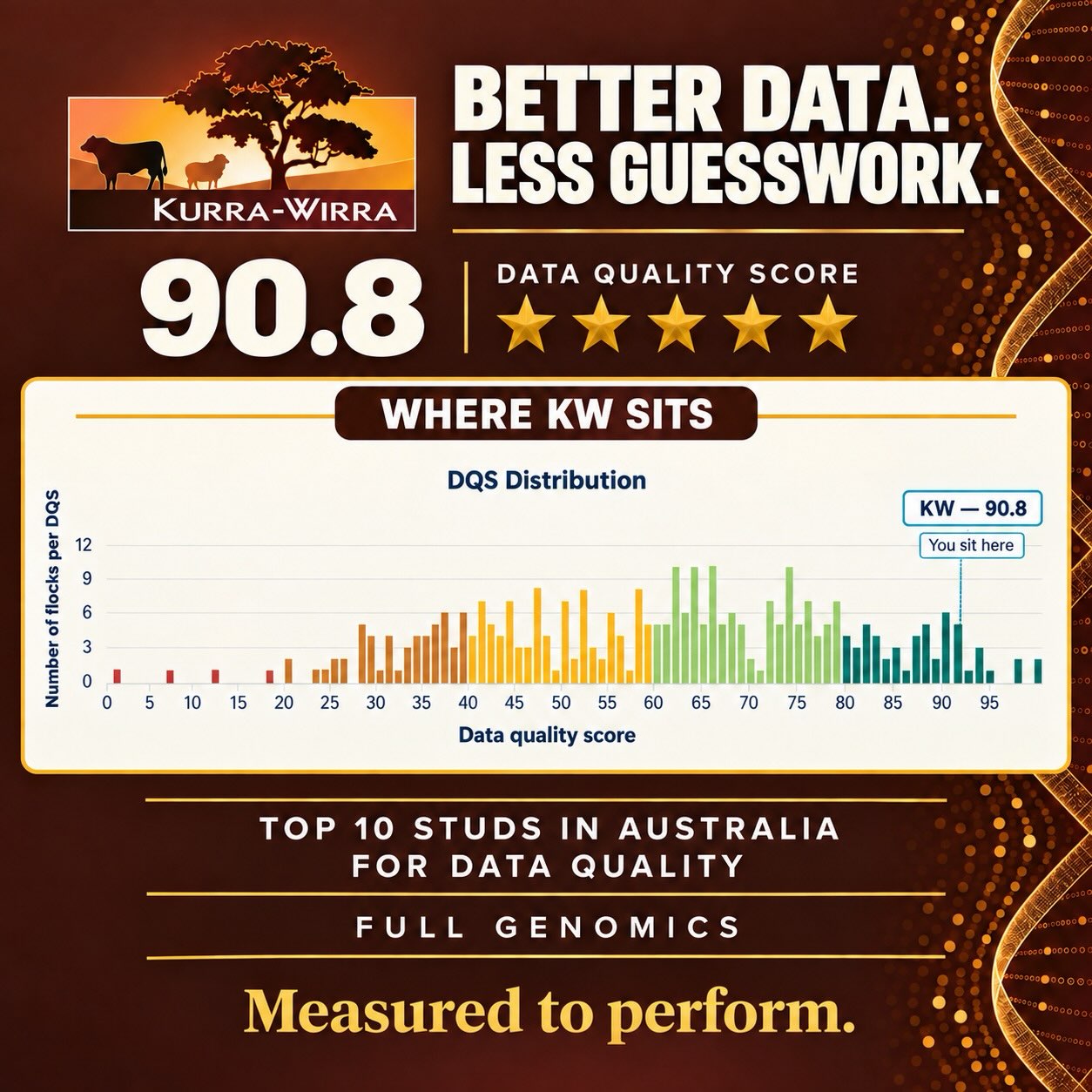 BUYING GENETICS — OR BUYING GUESSWORK?
At Kurra-Wirra, we’ve got a 30,000-strong commercial flock behind our stud. We rely on these genetics ourselves, so we put a lot into measuring how they perform.
⭐ Five-star data quality
📊 90.8 data quality score — top 10 studs in Australia for data quality
🧬 Full genomics
Anyone can talk up a ram. But what have they measured to back it up?
Before you buy, it’s worth asking to see the data. These rams will influence your flock for years. You want to know there’s more than guesswork behind them.
Kurra-Wirra — Measured to perform.