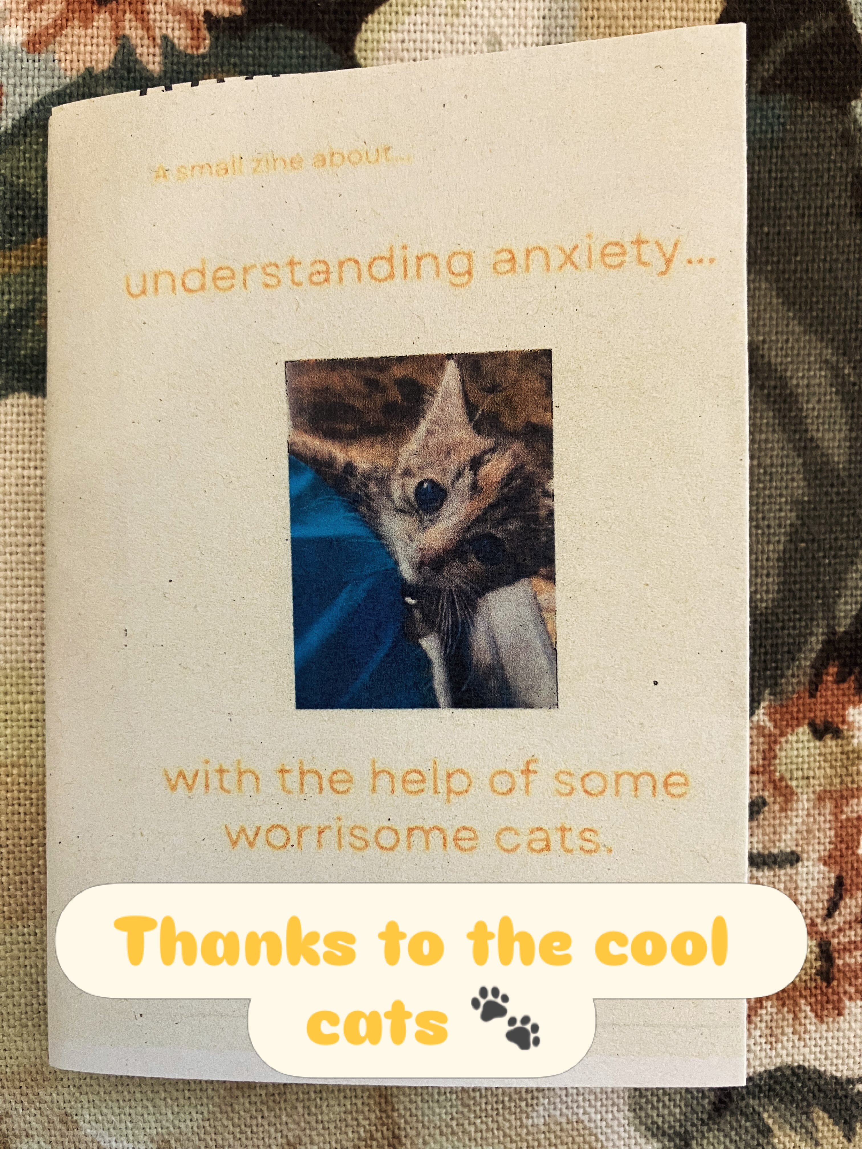 A small zine about understanding anxiety…with the help of some worrisome cats ❤️💫🐾 #anxiety #cats #insideoutsidetherapy #anxiouscats #itsok