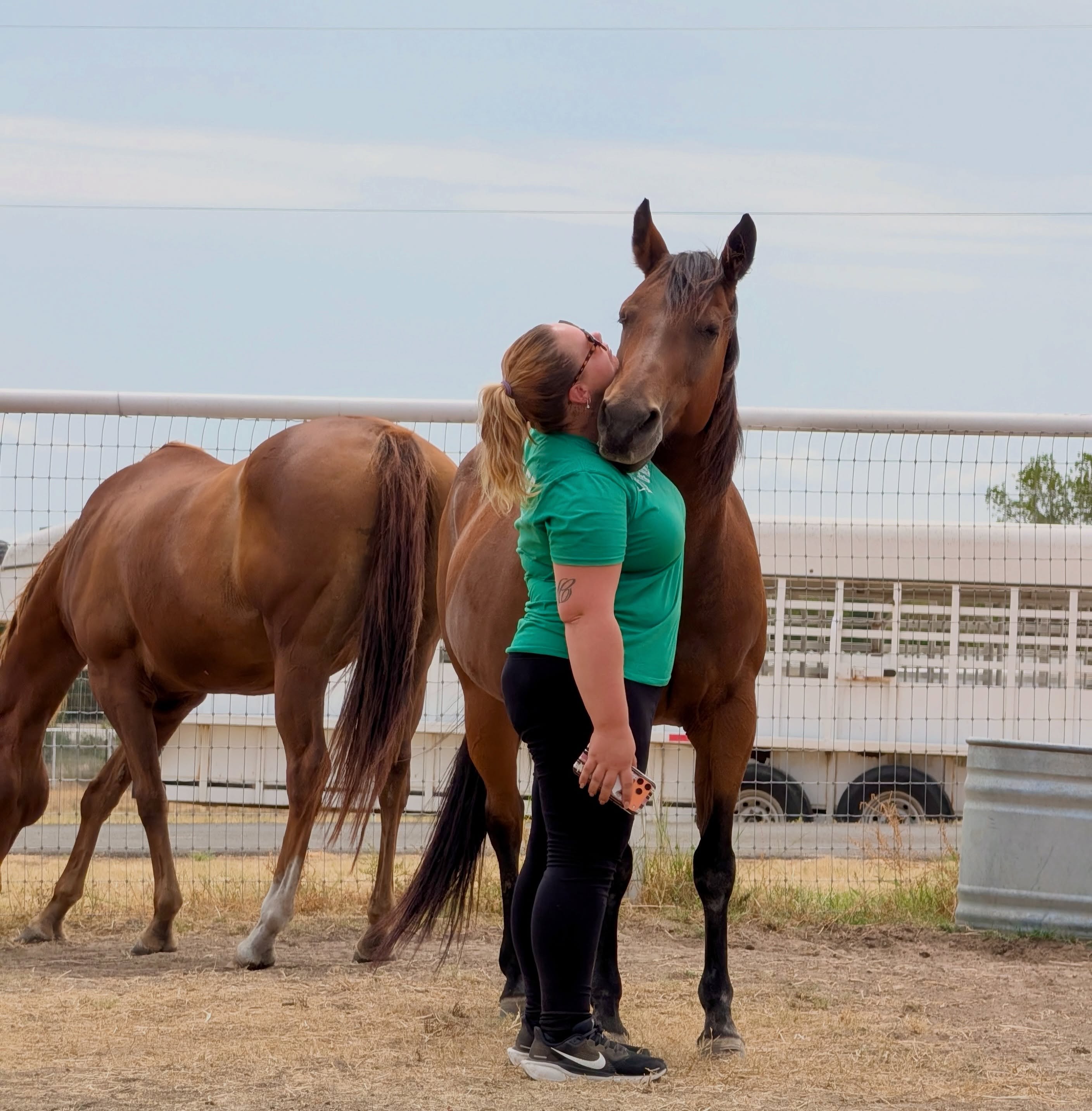 ๐๐ก๐ ๐๐จ๐ฐ๐๐ซ ๐จ๐ ๐๐๐๐จ๐ง๐ ๐๐ก๐๐ง๐๐๐ฌ
Every horse that arrives at the Ranch begins a new journey.
With patience, care, and a safe environment, horses regain the strength and confidence needed to find their new pastures.
Visit our website to learn more about the horses we serve.
#HSNTEquineRanch #Horses
