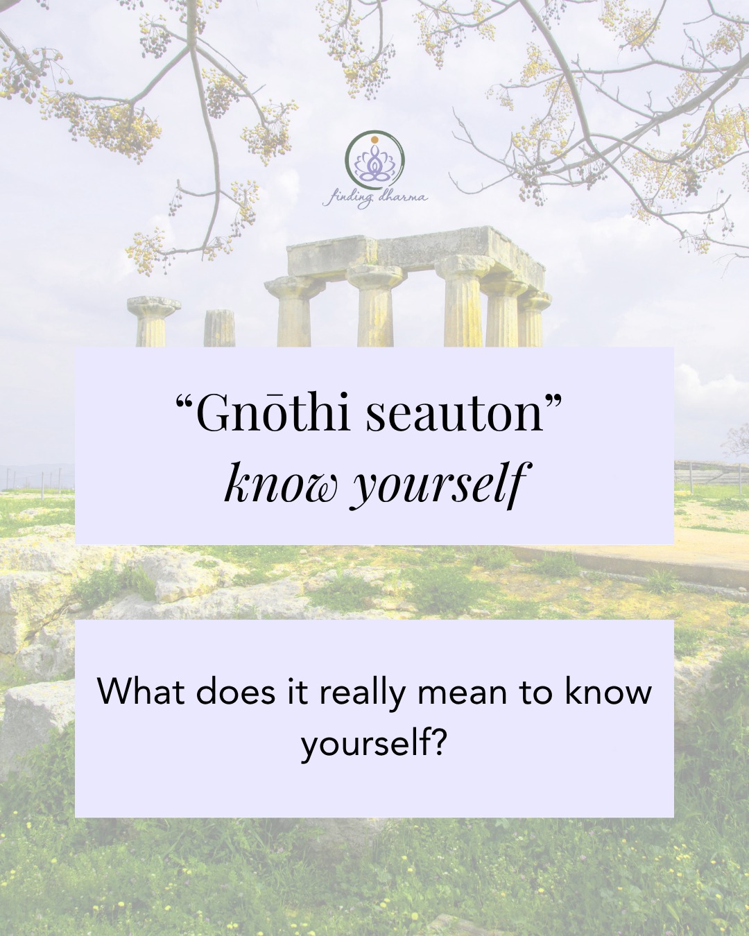 Can you truly know yourself?
One of the things I love about the German language is that it has two words for “to know.”
**Wissen** means to know a fact or a piece of information.
**Kennen** means to know through familiarity—to be acquainted with someone or something.
In German, when we talk about knowing another person—or knowing ourselves—we use *kennen*. We can become deeply familiar with someone, but we can never know every aspect of who they are.
The same is true of knowing yourself.
To know yourself is to become familiar with who you are in this moment. It isn’t to know everything you could ever be.
You are divine. You are limitless. You can know parts of yourself in particular moments, but you are always changing and evolving. You meet and know yourself differently every moment of every day.
Perhaps self-knowledge isn’t about arriving at a final answer.
Perhaps it is an ongoing relationship with the person you are becoming and recognizing the limitless possibilities that are you.
#FindingDharma #KnowYourself #SelfKnowledge #SpiritualGrowth #GermanLanguage