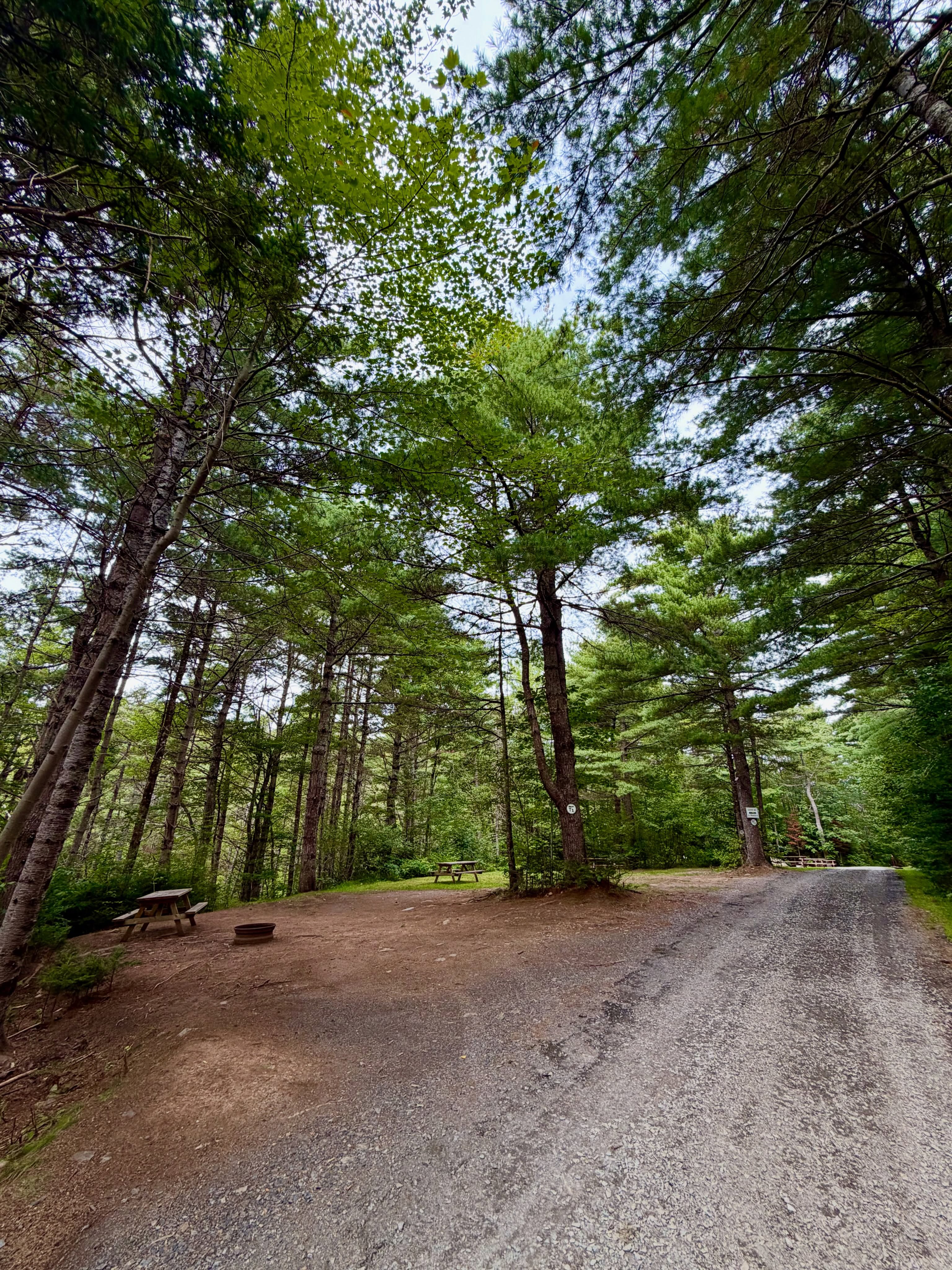 Just a few of our beautiful campsites ๐ธ that are available this weekend! ๐๏ธ And after a sold out Summer, thatโs a sin. ๐โโ๏ธ Whoโs coming camping with us this weekend?? ๐ #camping #novascotia #lahave #weekendplans