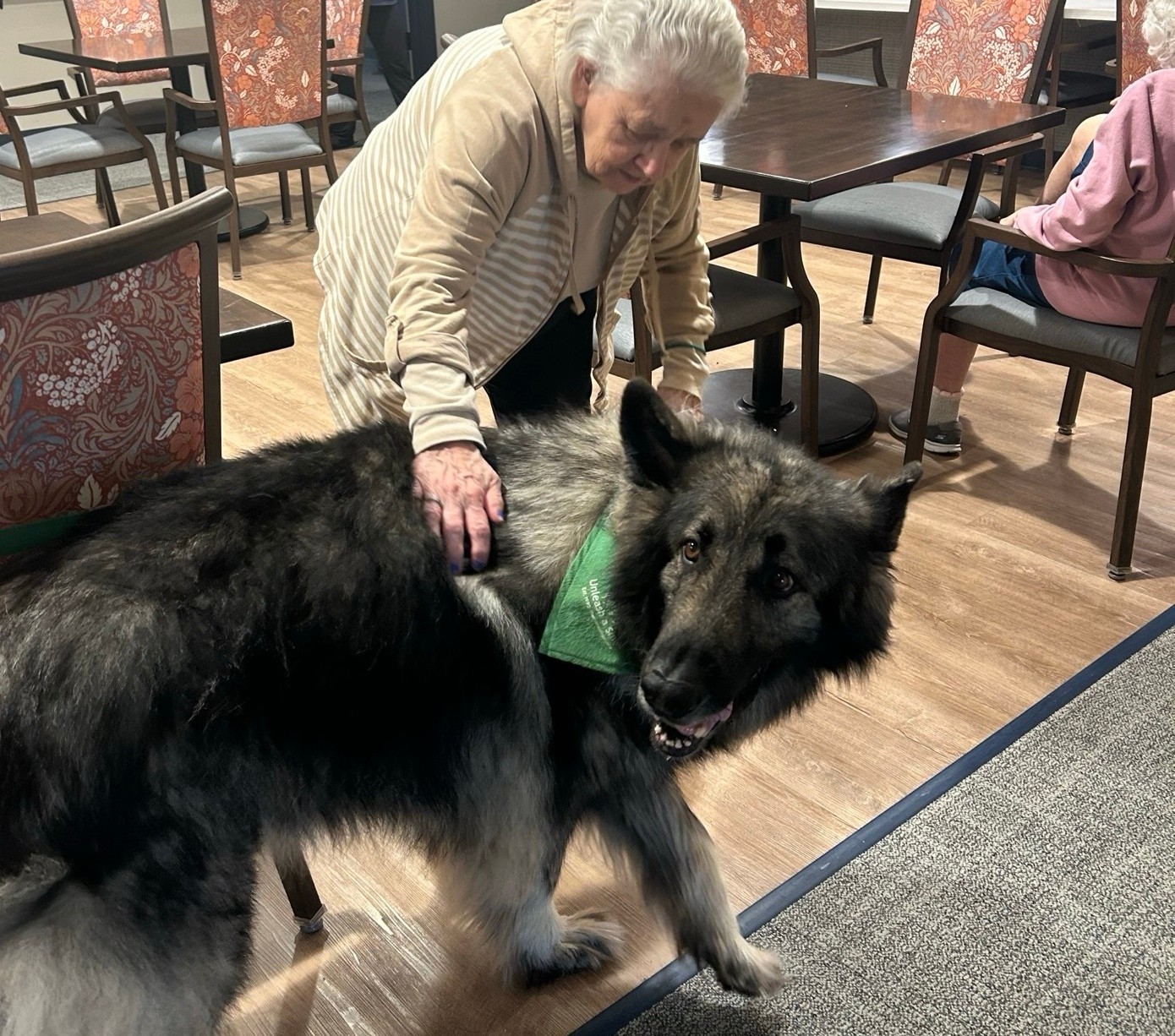 ๐ A visit from Trooper always makes the day a little brighter. ๐ฆฎ
#VergennesGrand #MemoryCare #vergennes #LifeisGrandHere #GSLcommunities